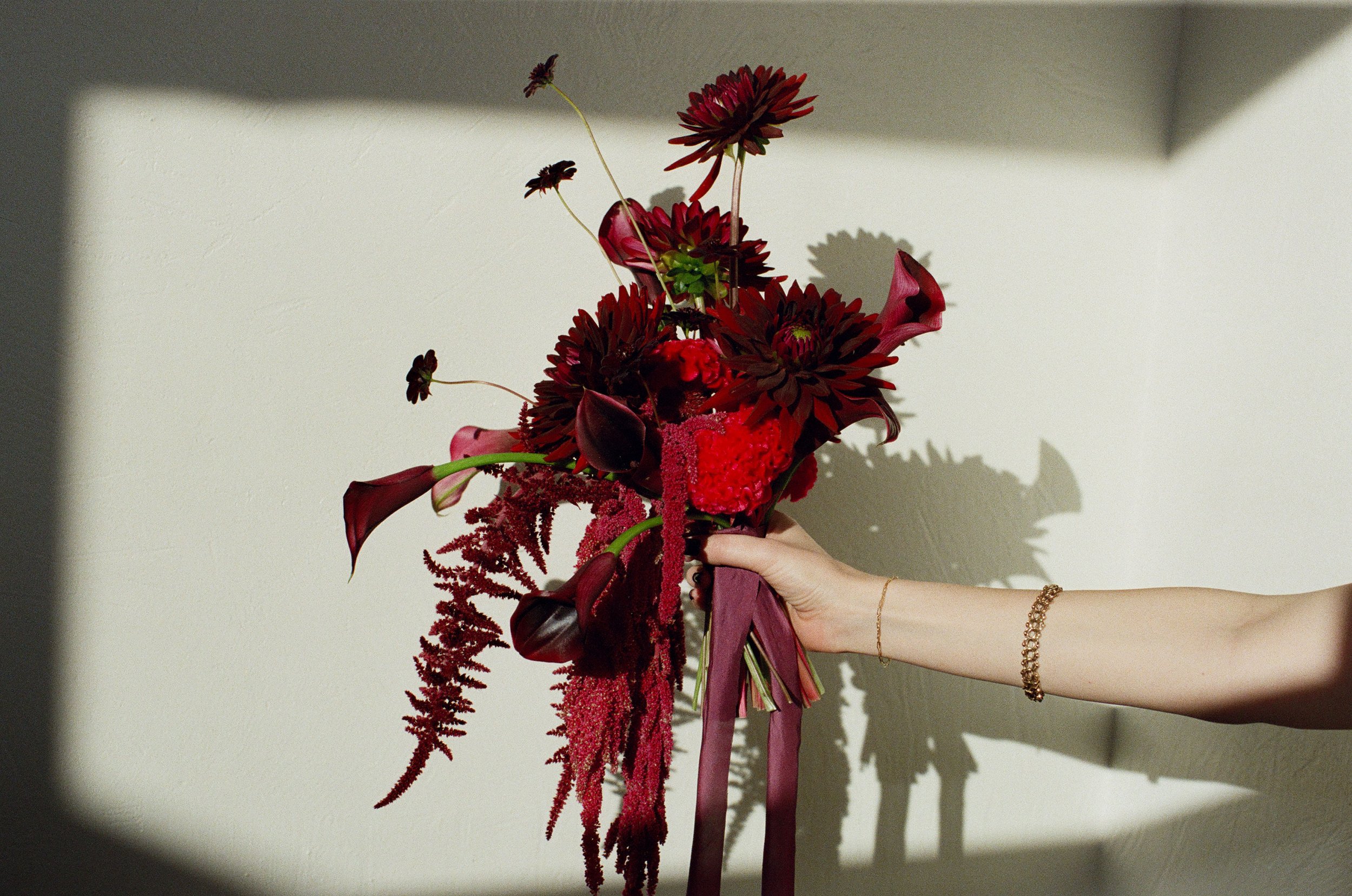 A hand holding a bouquet of deep red and burgundy flowers against a neutral background, with shadows cast on the wall.