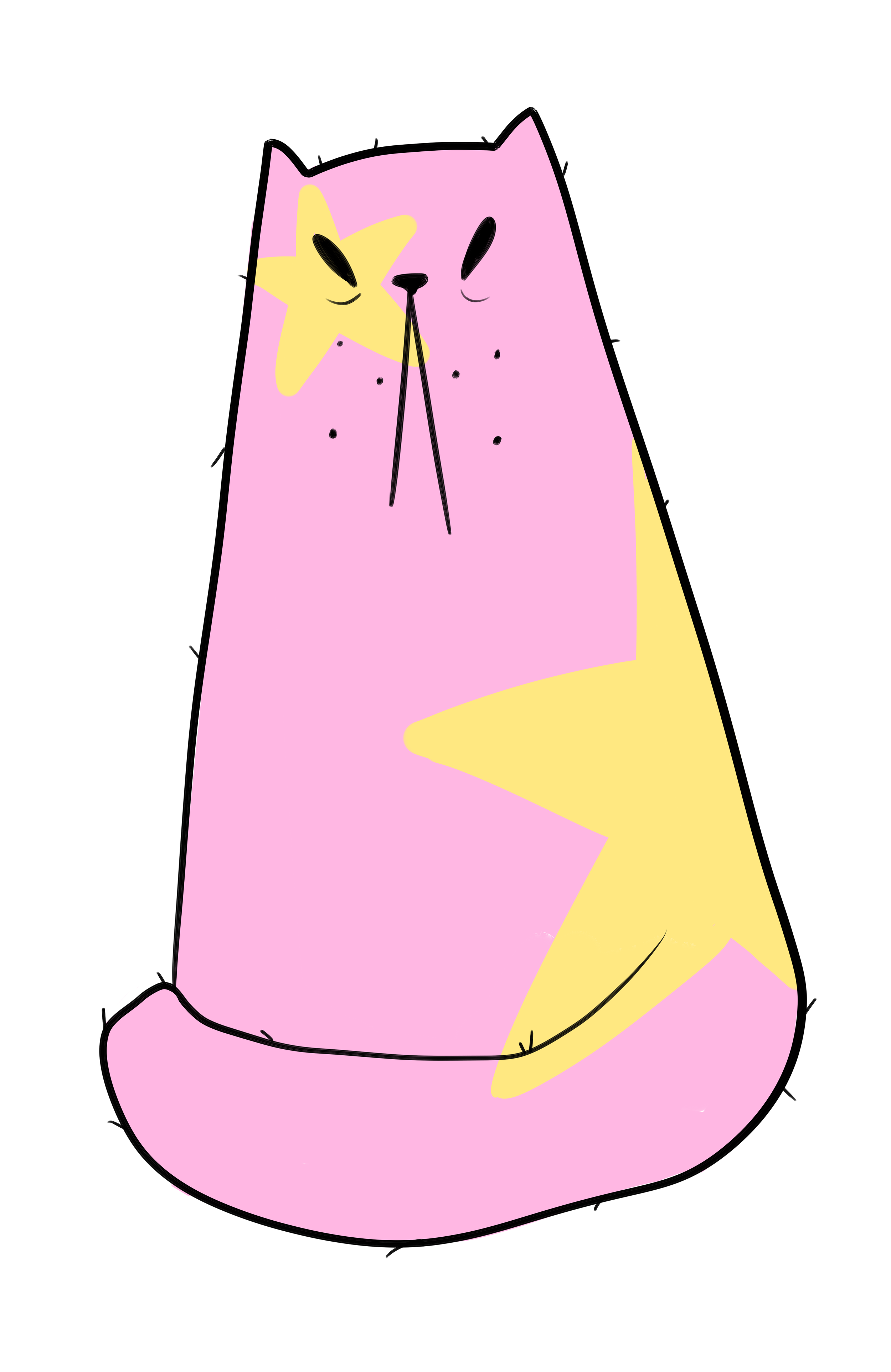starcat.png