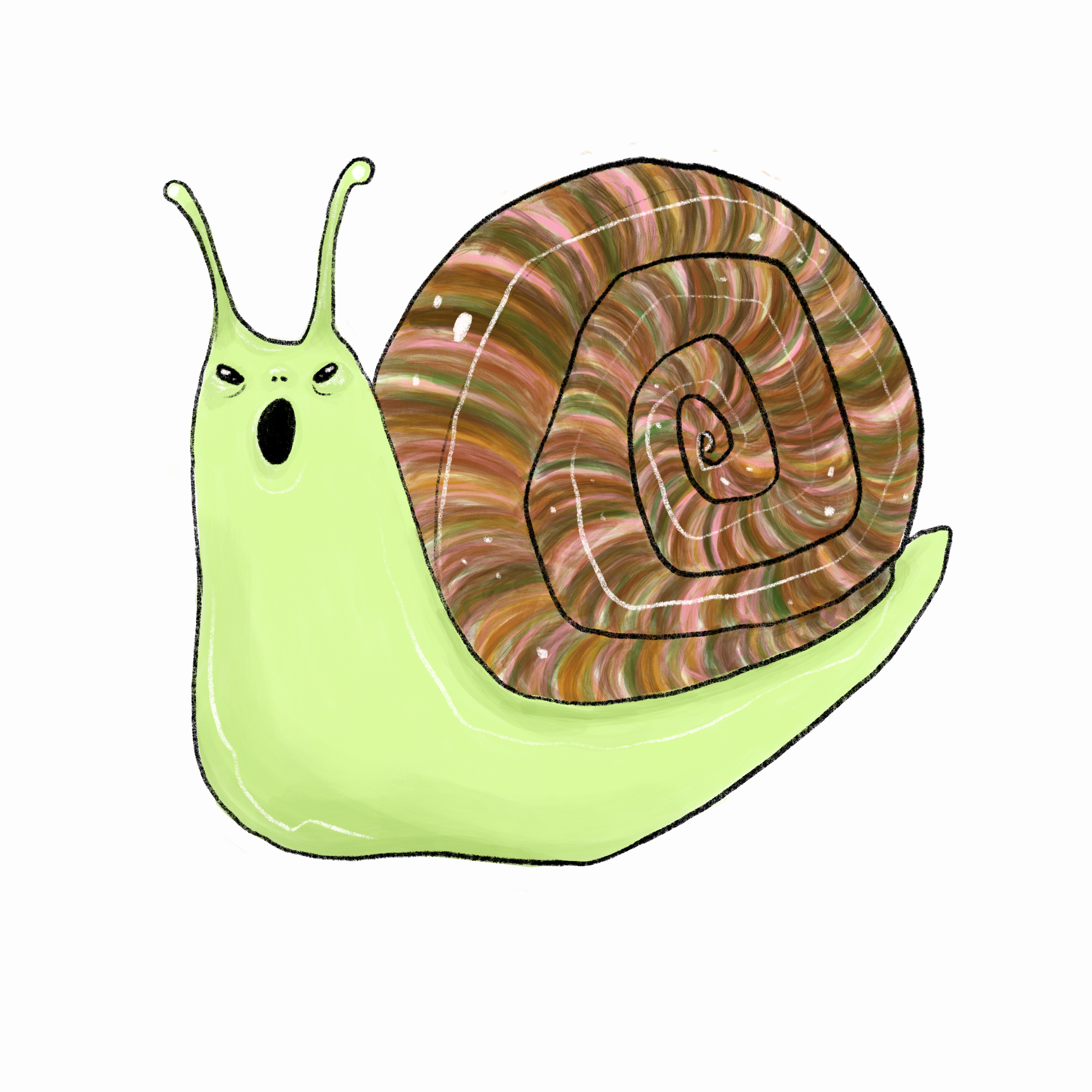 Snail sticker