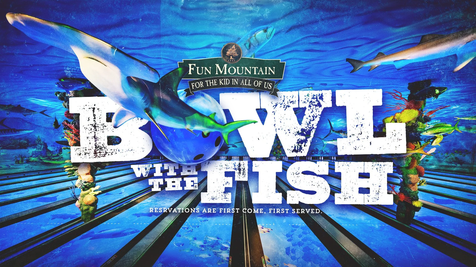 bowlwiththefish.jpg