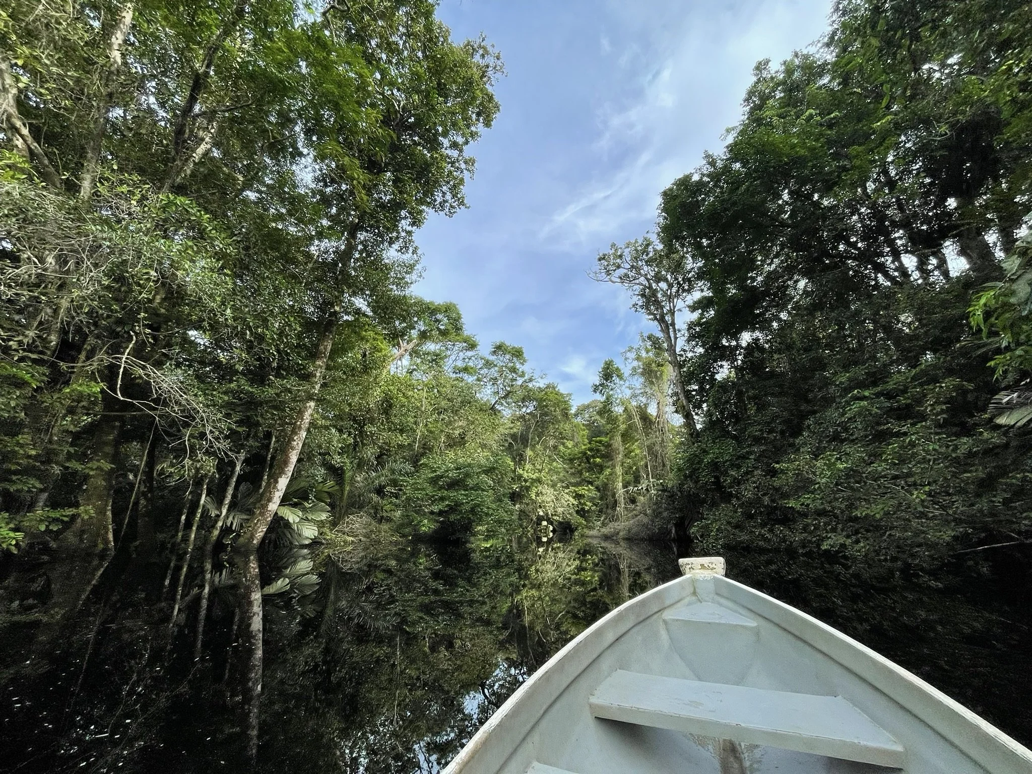 Around the Bend – Personal Journeys