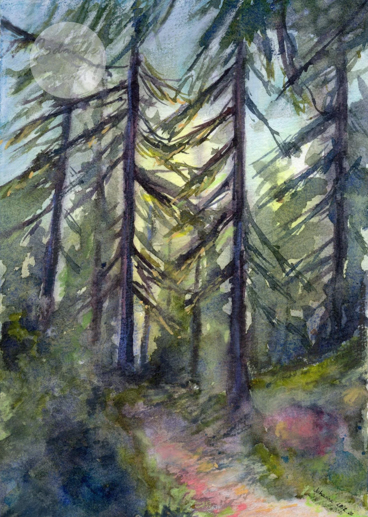 February 2026. Mixed media on cold-pressed watercolor paper - Sunny morning on a forest path. Own reference.