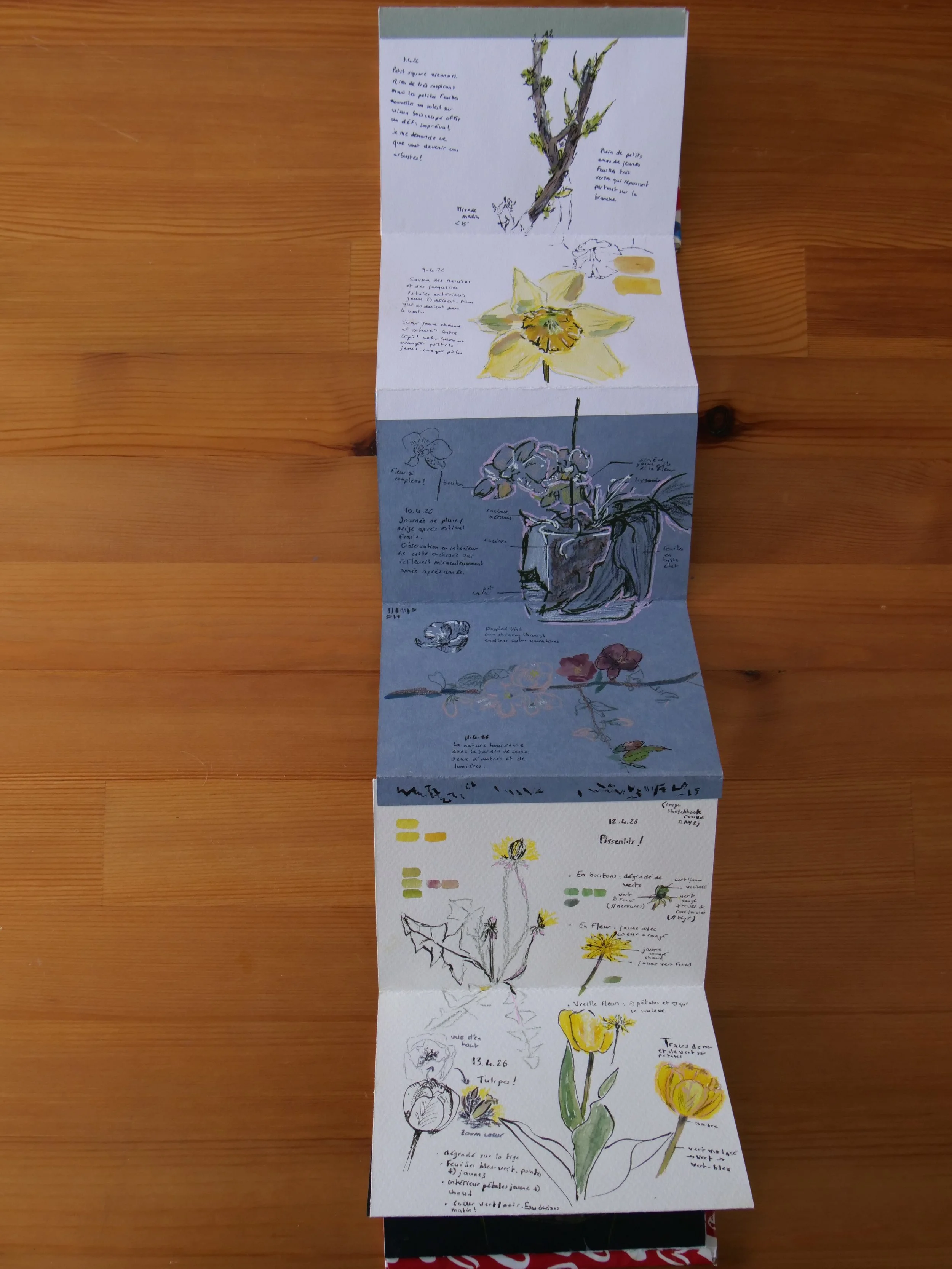 P1008175.JPG