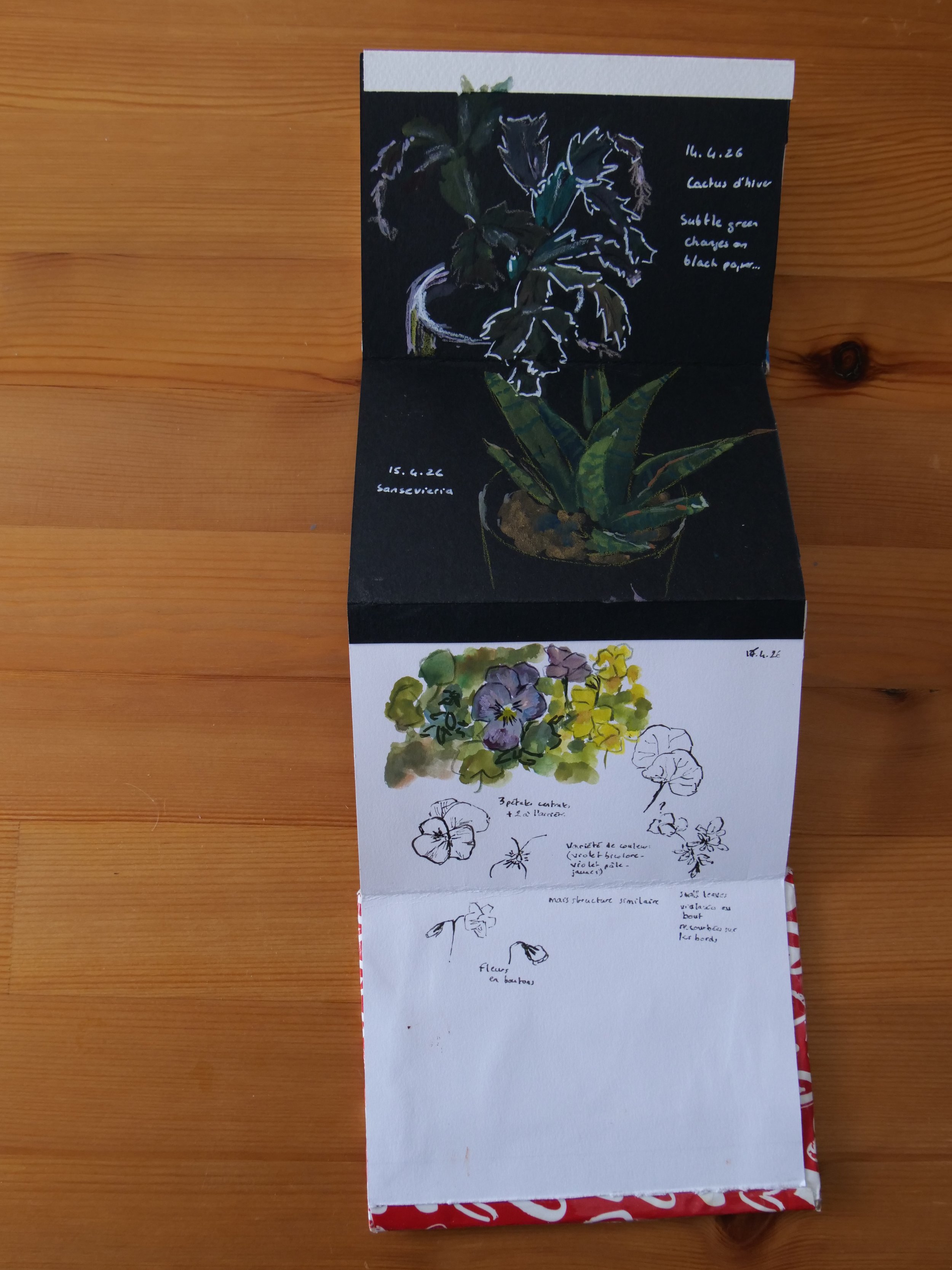 P1008177.JPG
