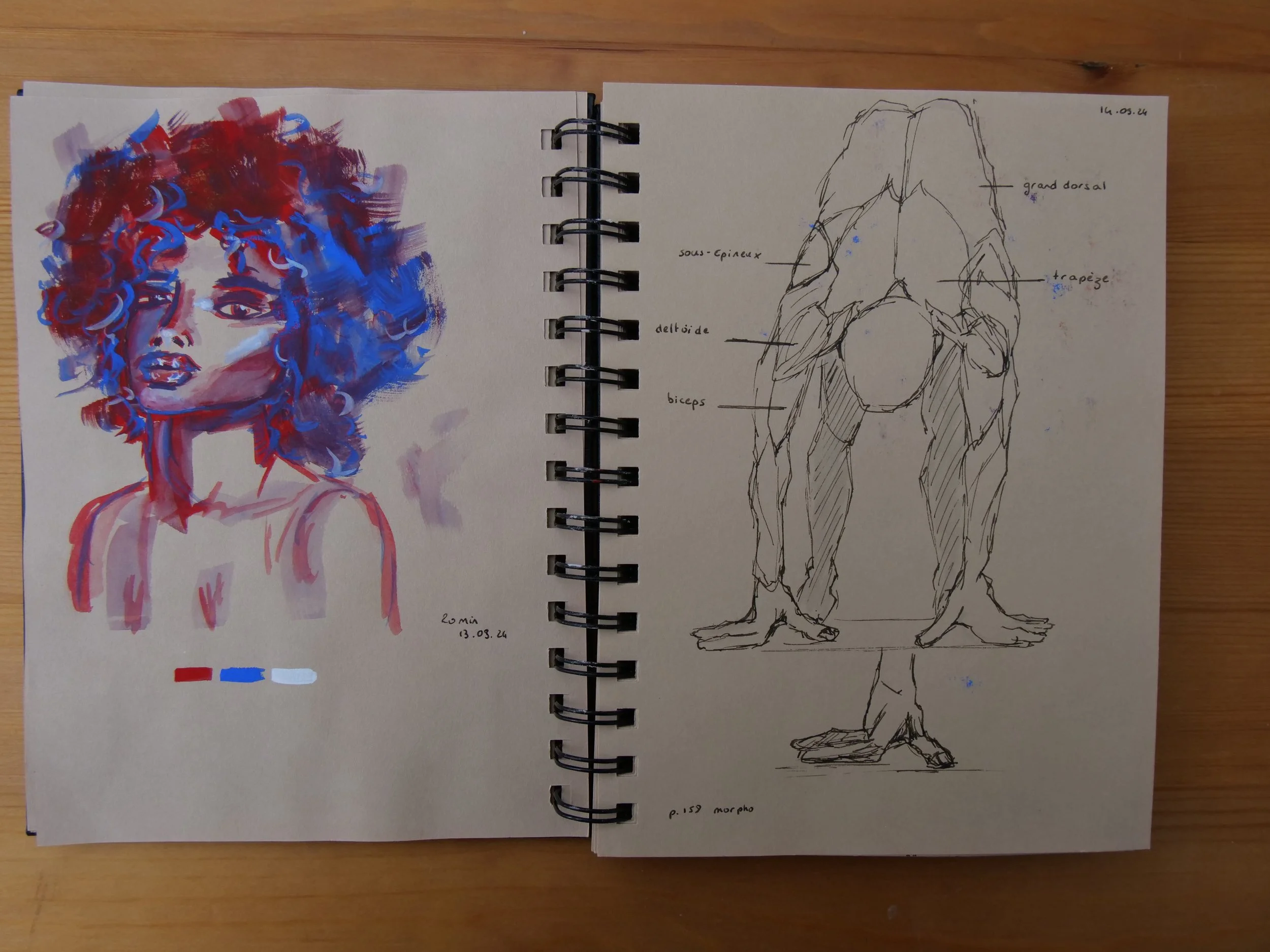 mid-September 2024 - gouache and morpho