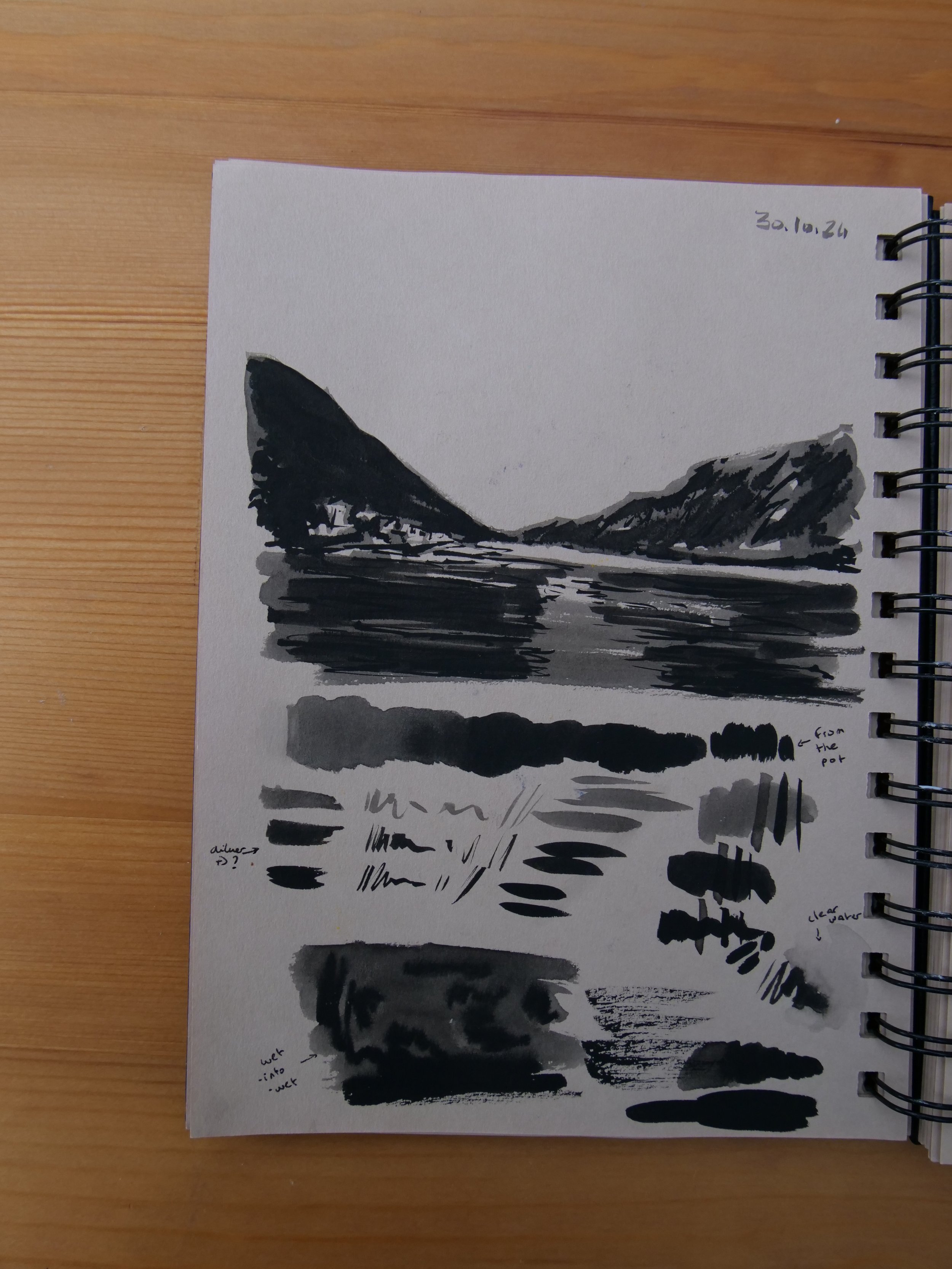 End of October 2024 - playing with ink in waterbrushes