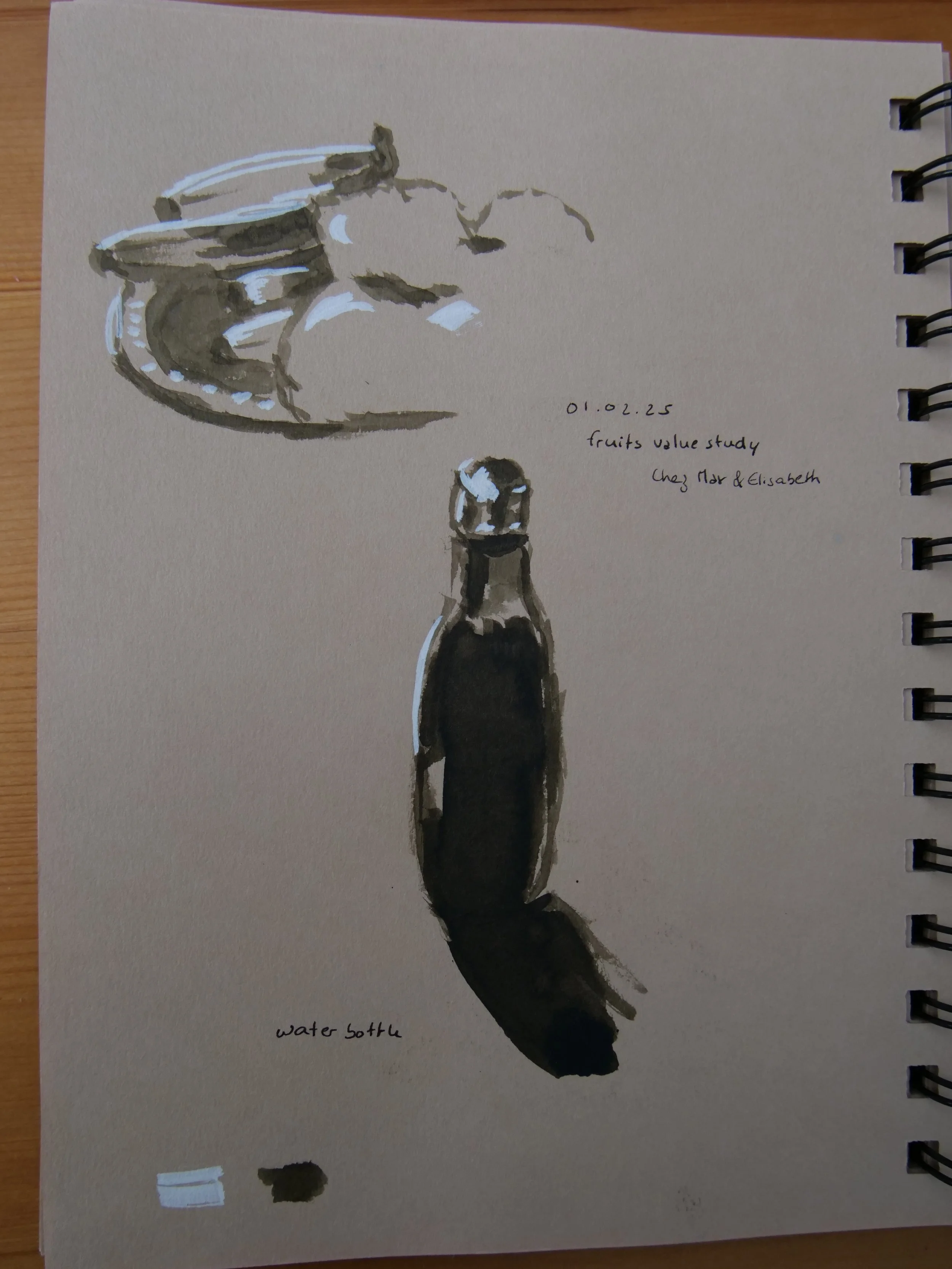February 2025 - value studies with ink brush and white acrylic marker