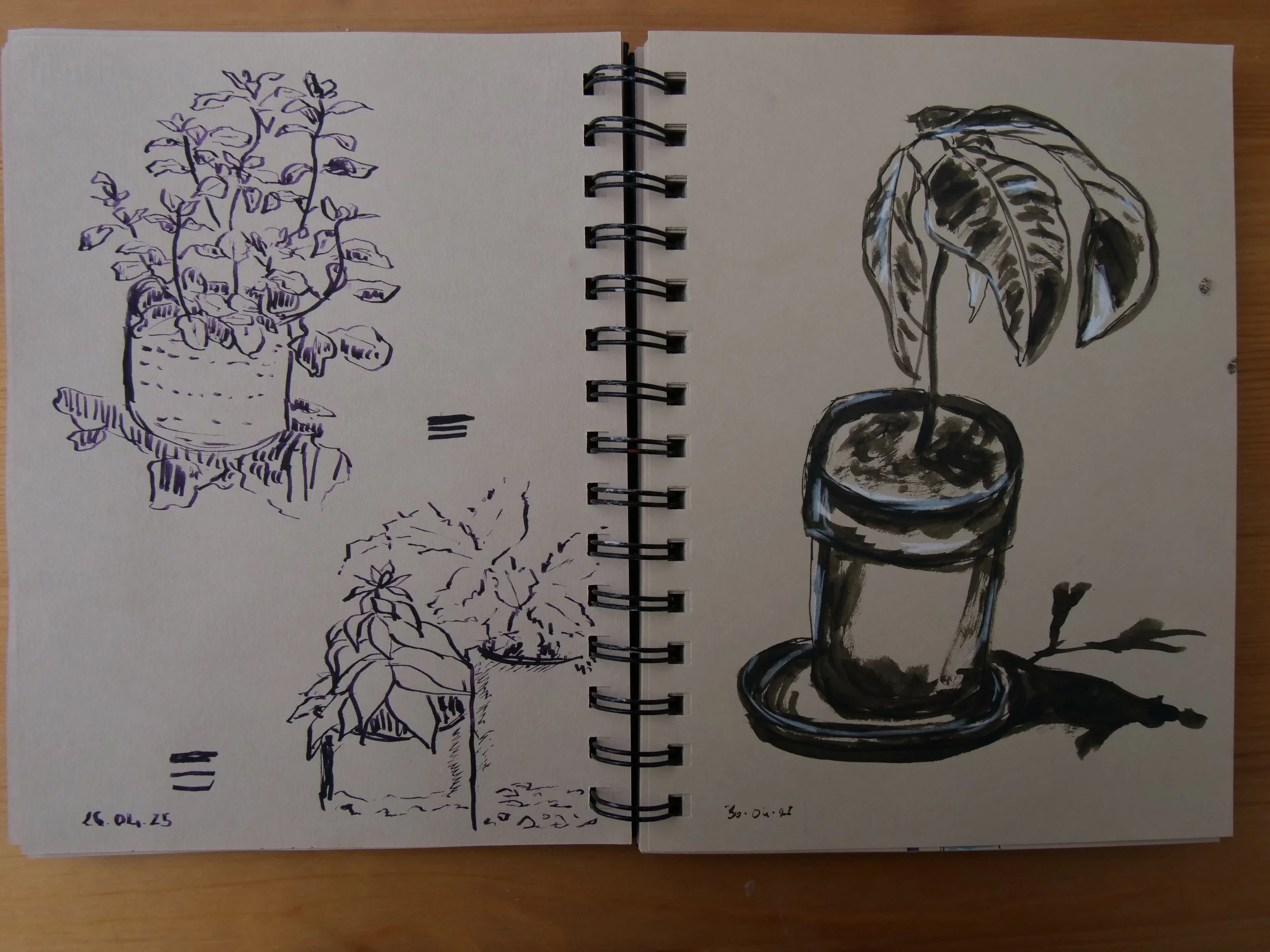 April 2025 - Playing with ink