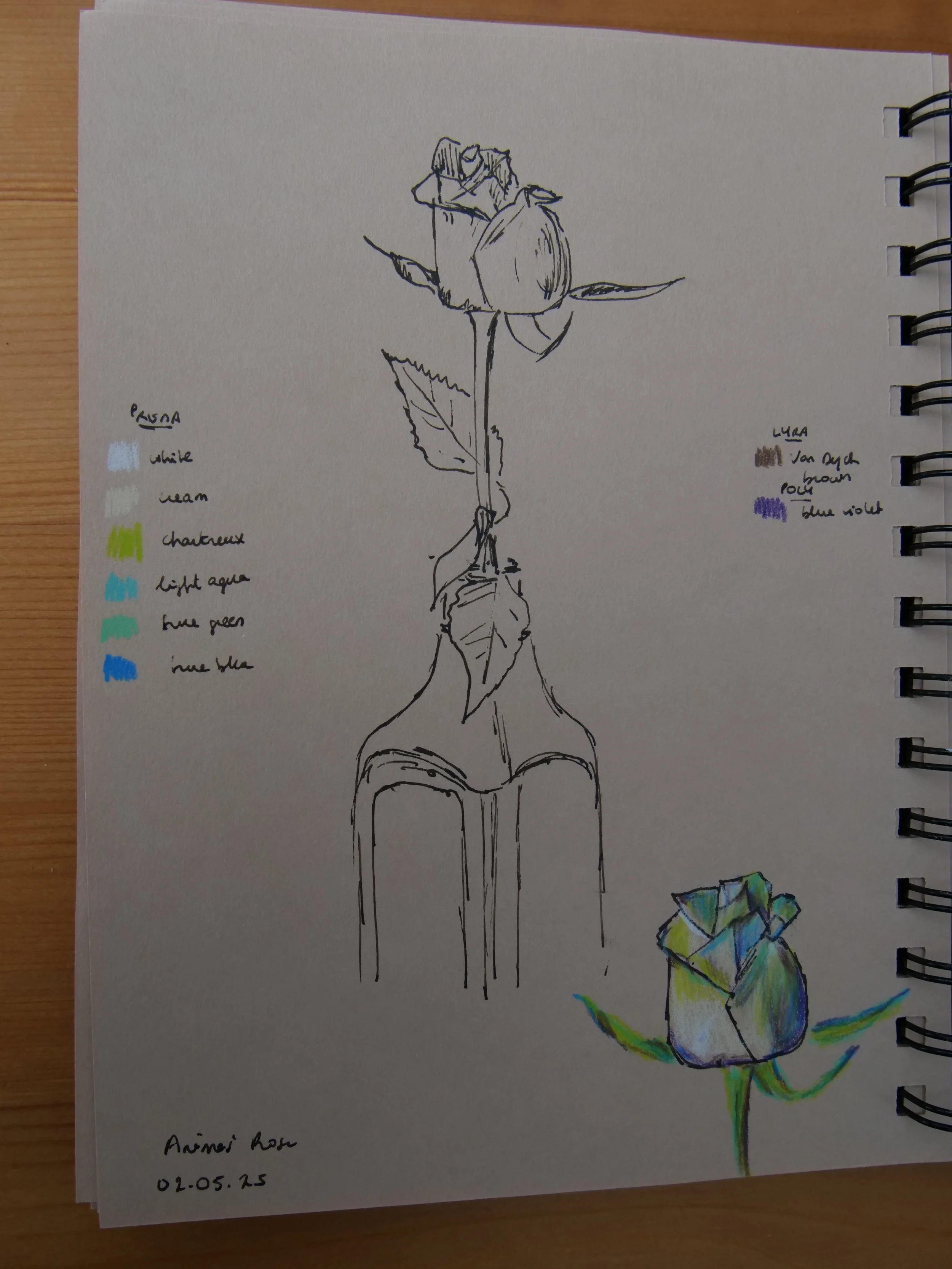 May 2025 - (re)discovering colored pencils (study from life)