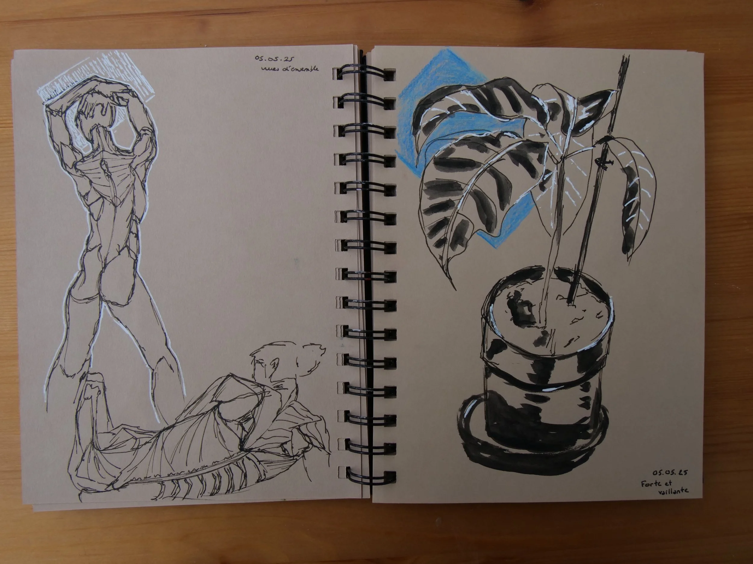 May 2025 - having fun with ink: morpho (left) and plant study from life (right)