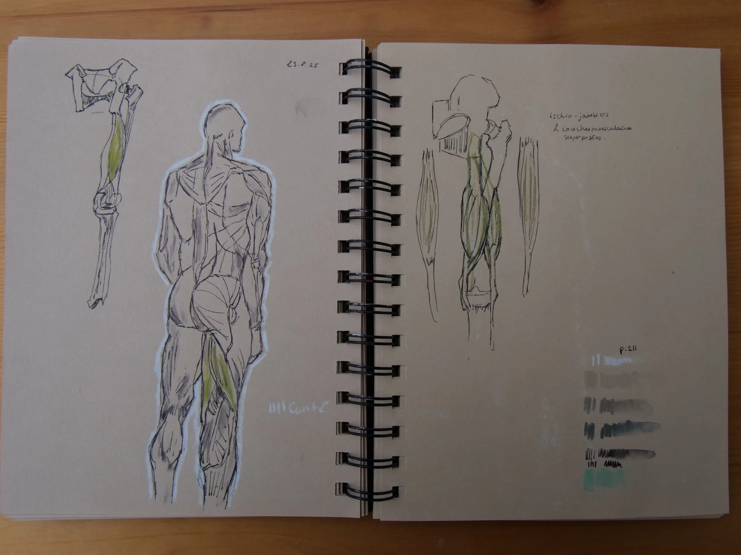 August 2025 - an OK morpho page in the middle of a creative desert