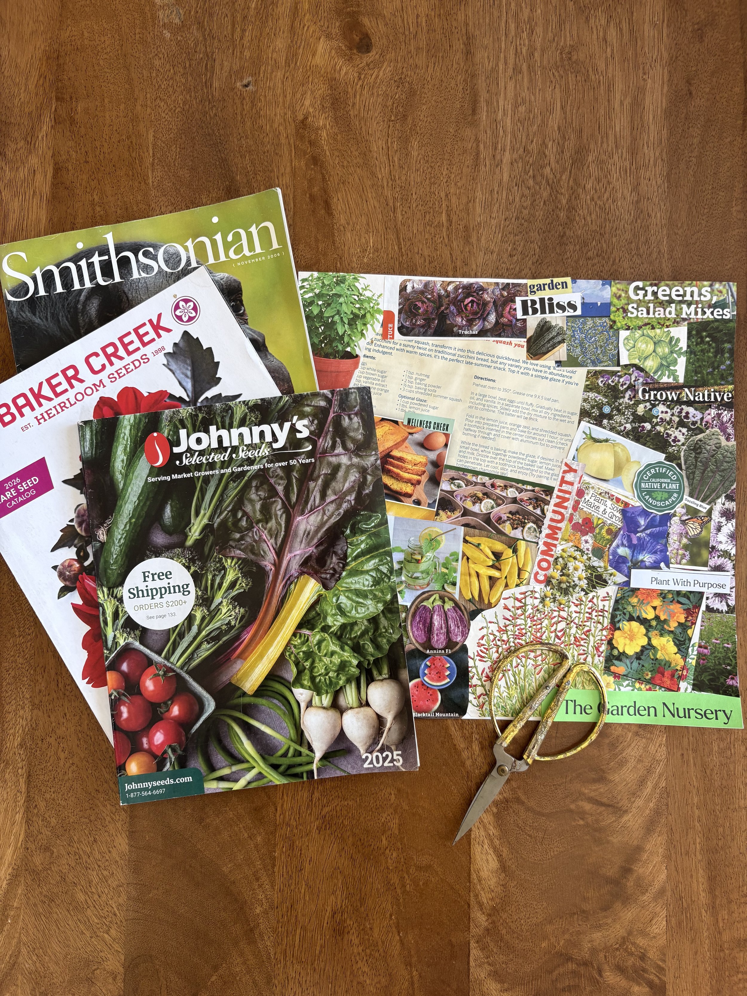 Garden Dreaming Workshop