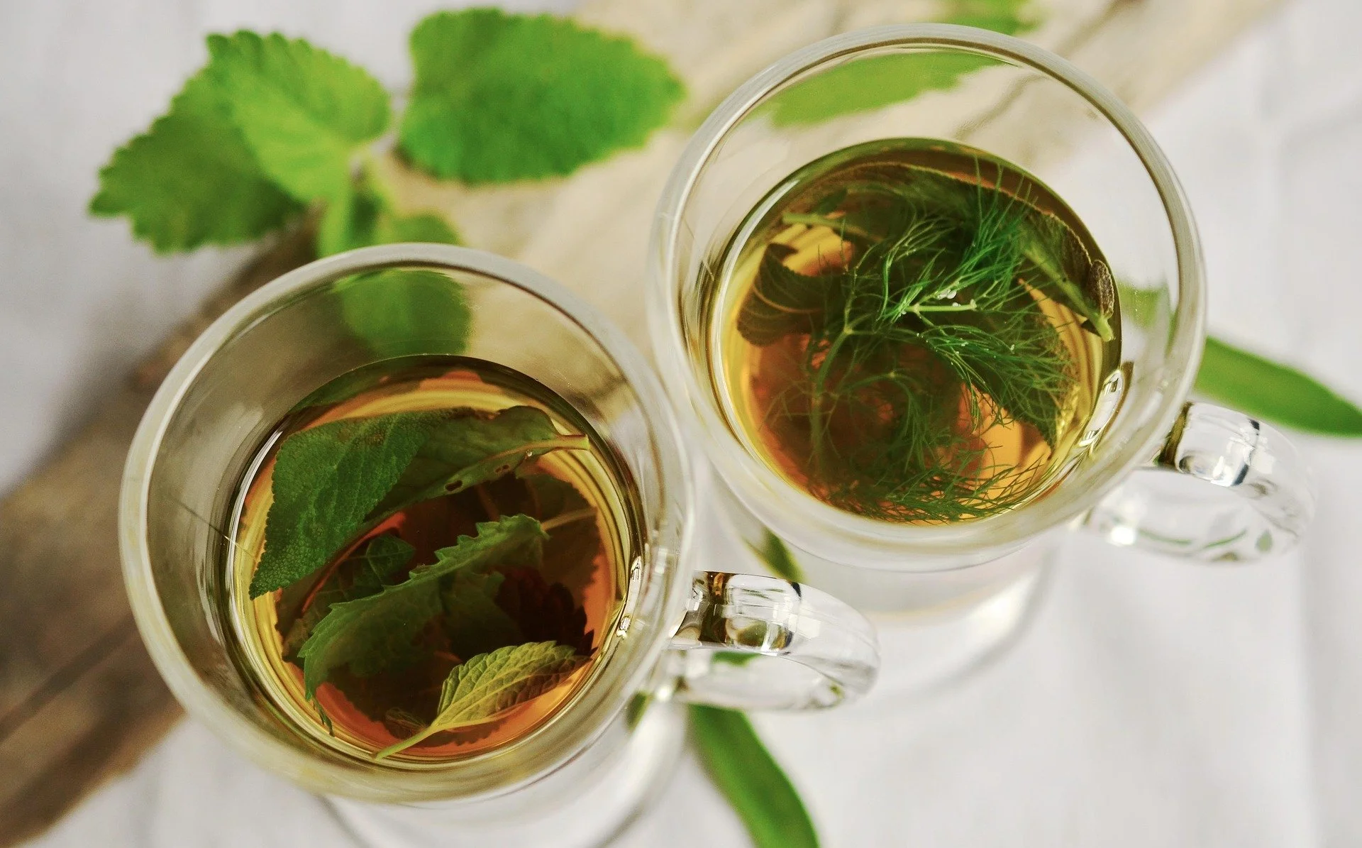 Tea Garden Workshop