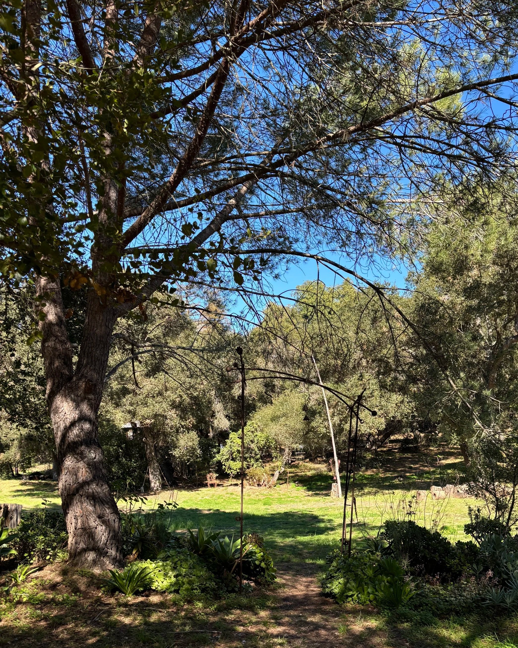 path leading to open field