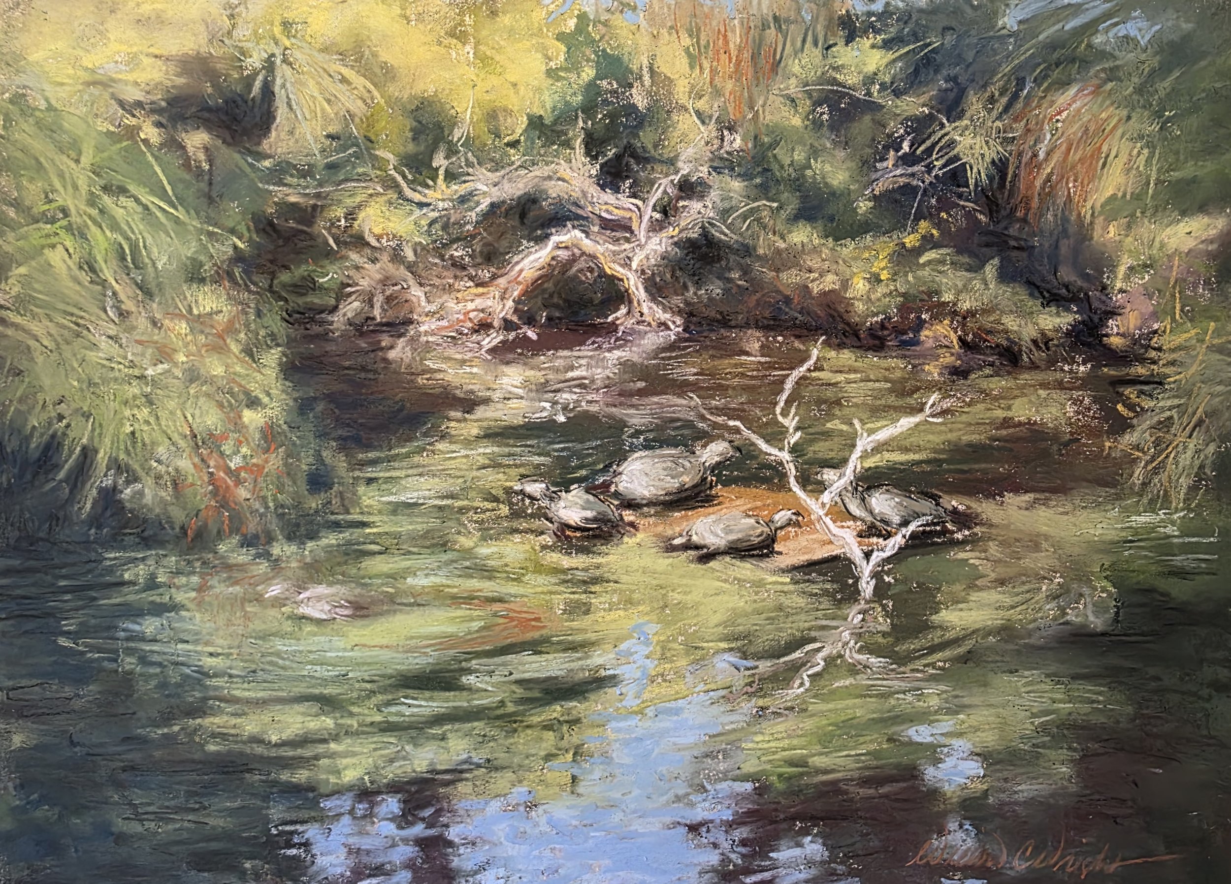 Turtles and Trees (Plein Air)