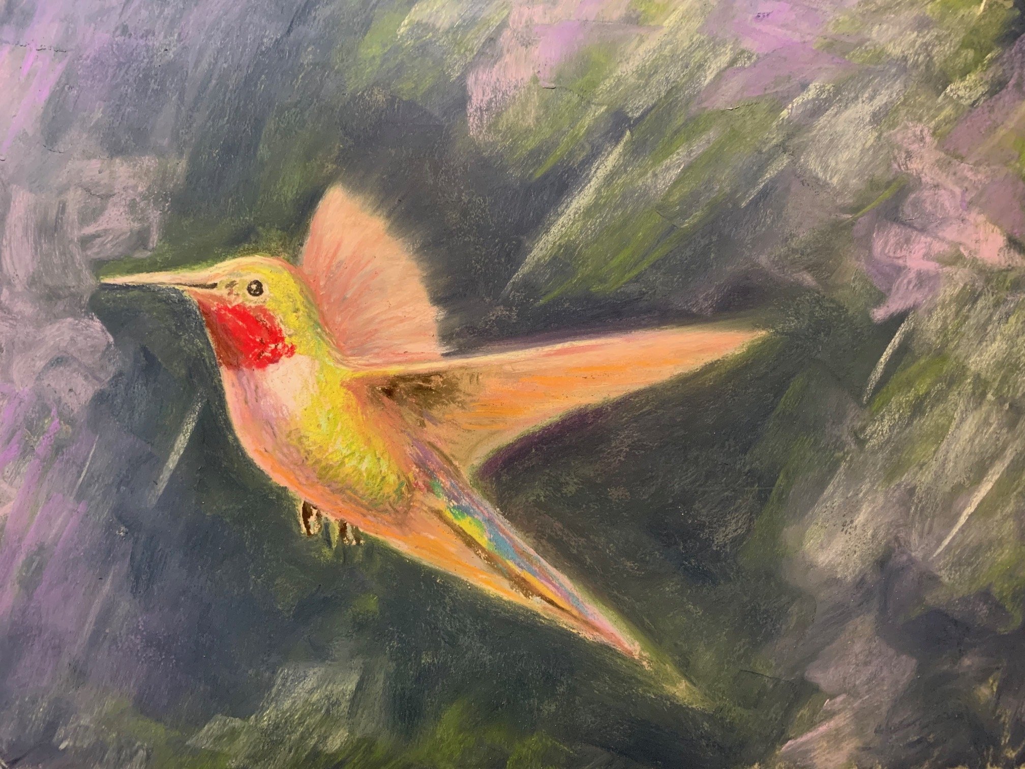 Hummingbird