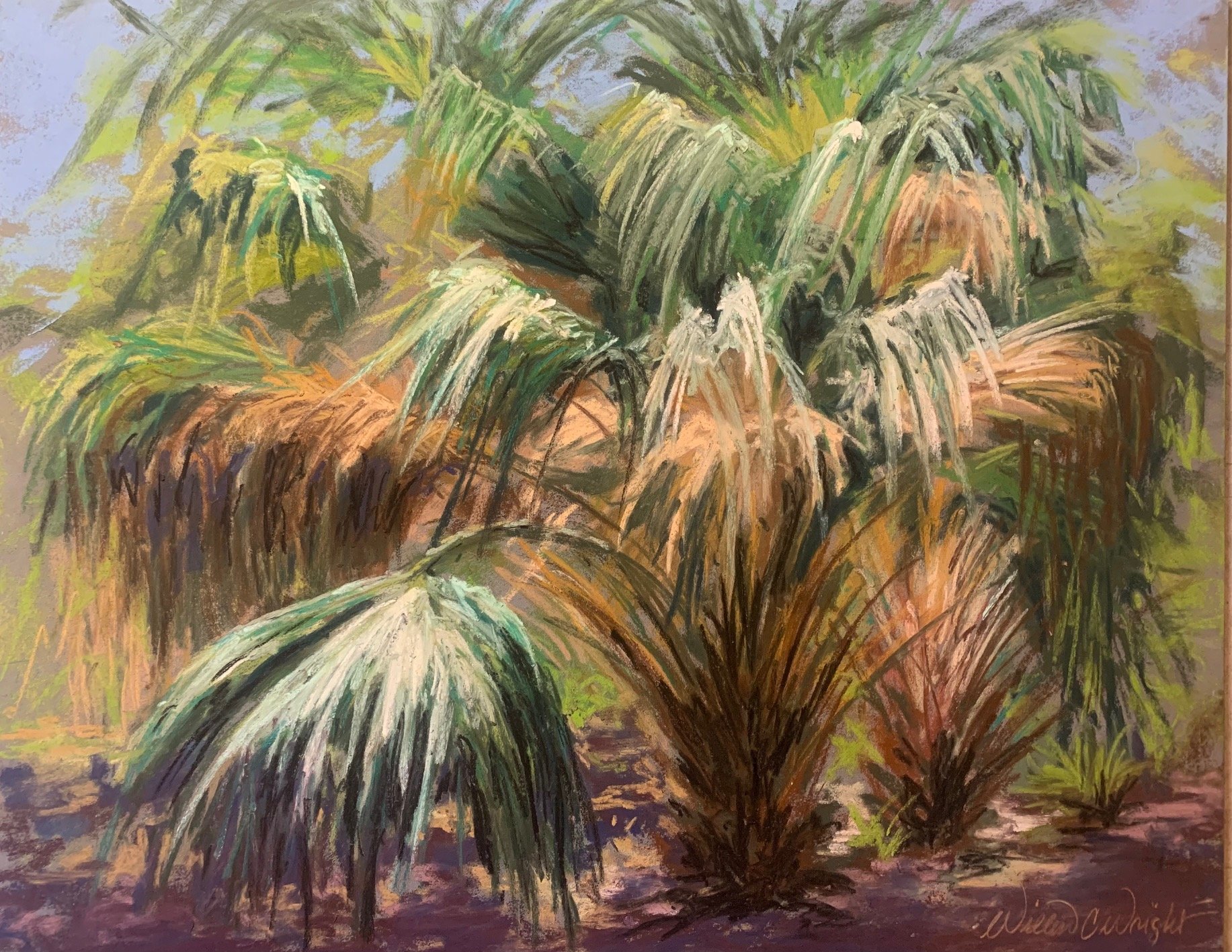 Feathery Fronds - Lettuce Lake.jpg