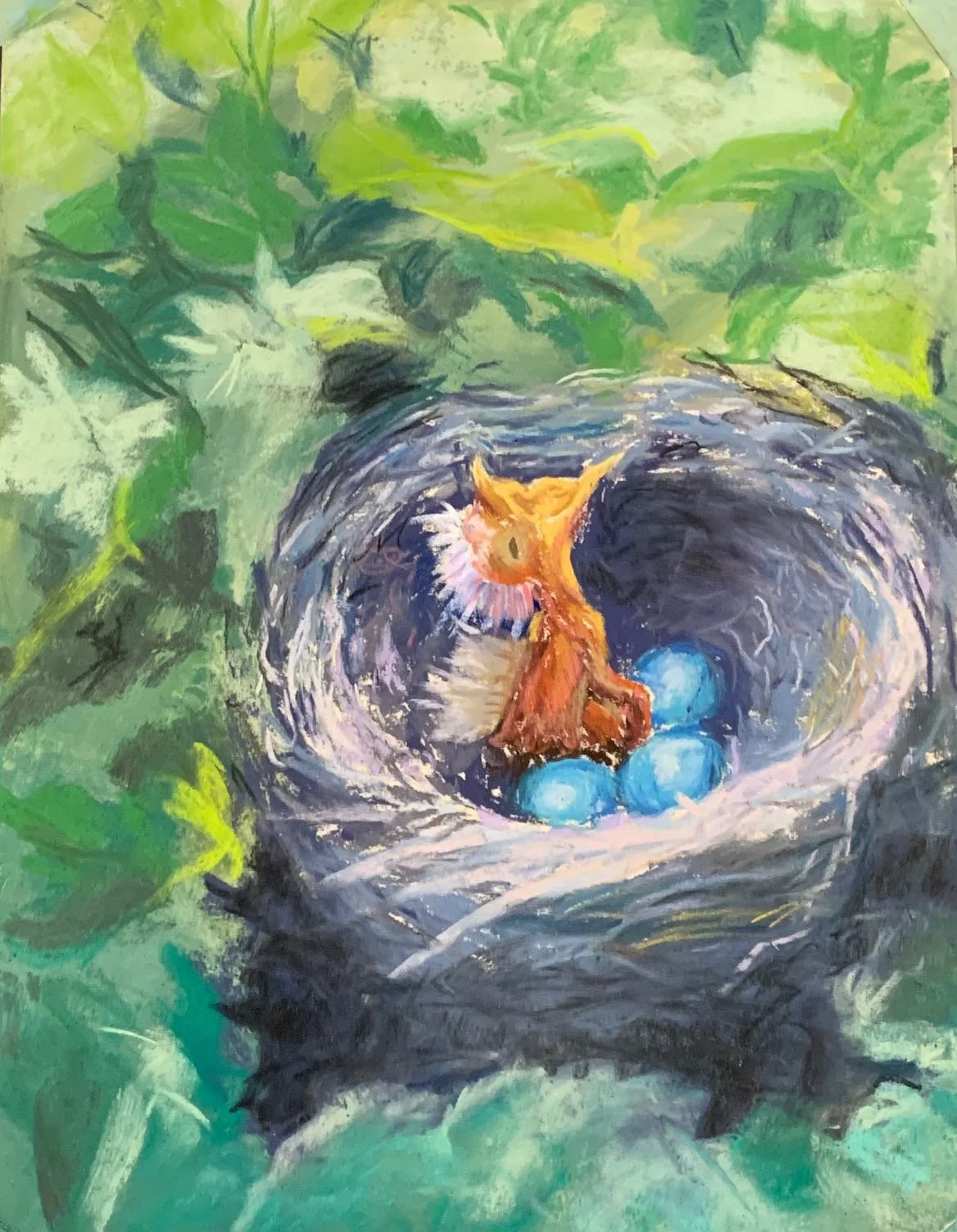 Baby Bird in Nest
