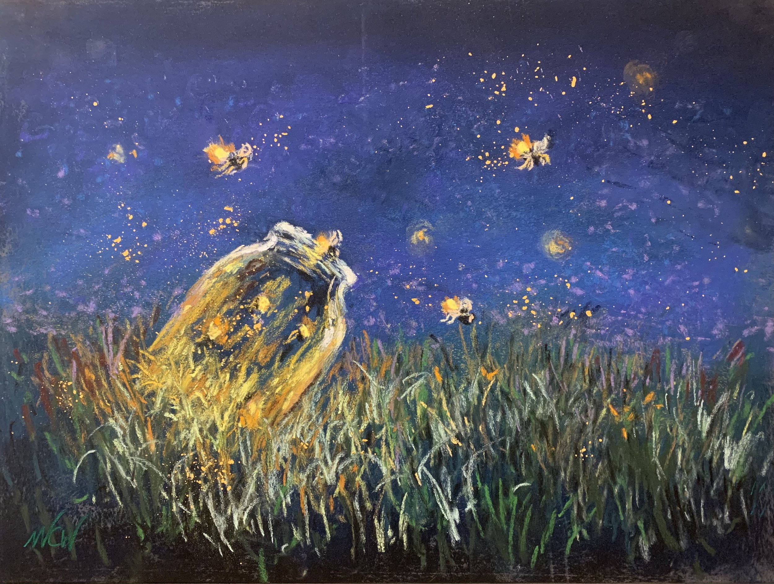 Fire Flies