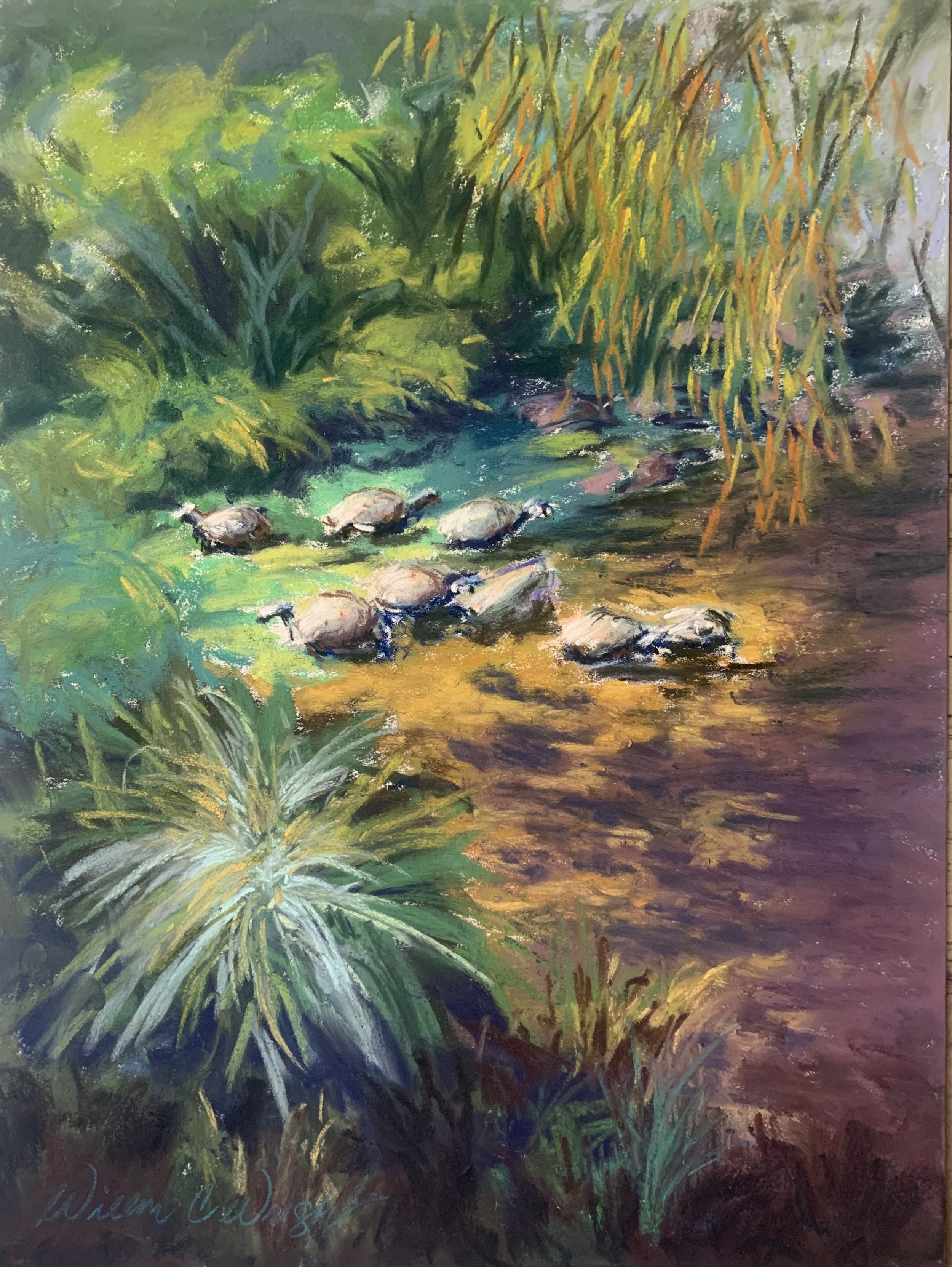 Tree Hanging Turtles (Plein Air)