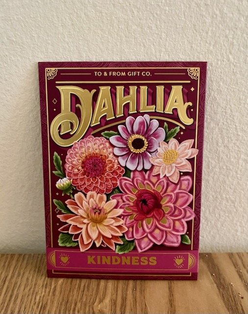 Floriography Dahlia "Kindness" Seeds