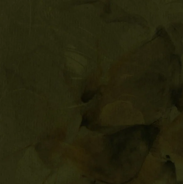 Dark, abstract image with indistinct shapes and shadows.