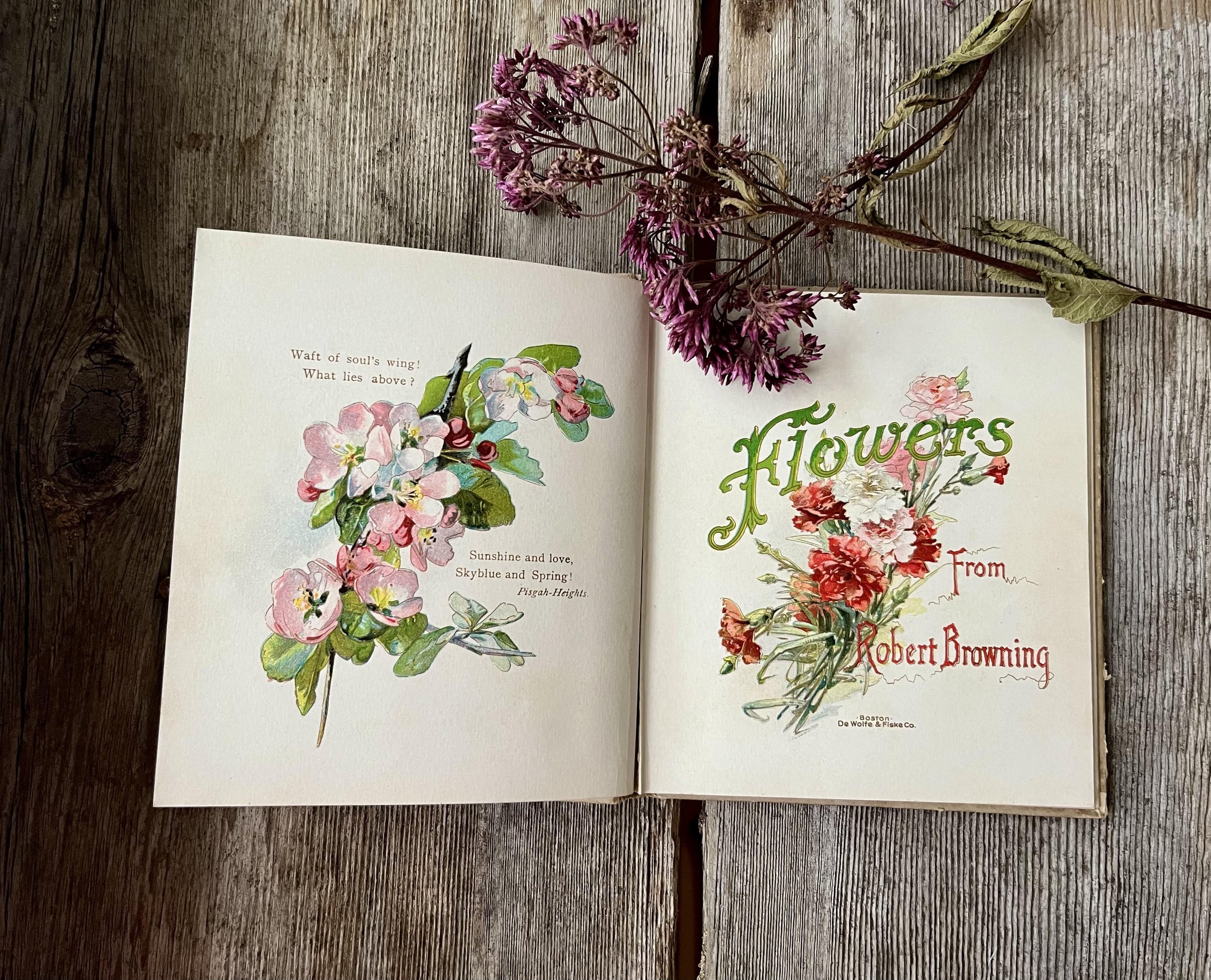 VintageBook_Browning_SamplePages2 (1).jpg