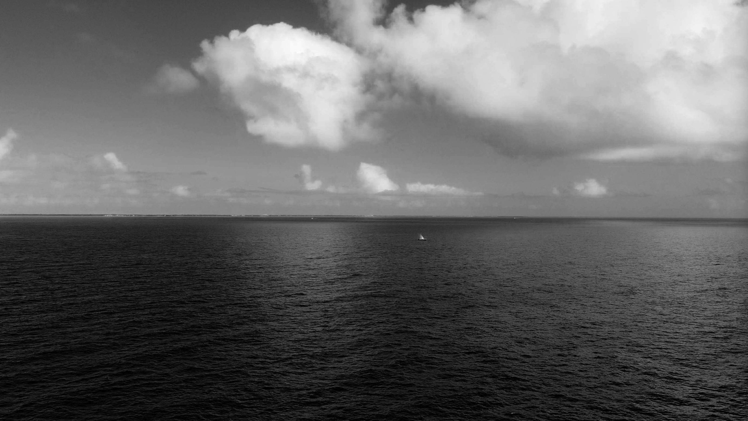 Image 2-12-21 at 10.45 AM.jpg