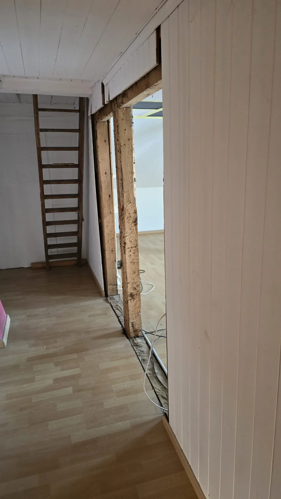 PHOTO-2025-09-13-18-41-59 4.jpg