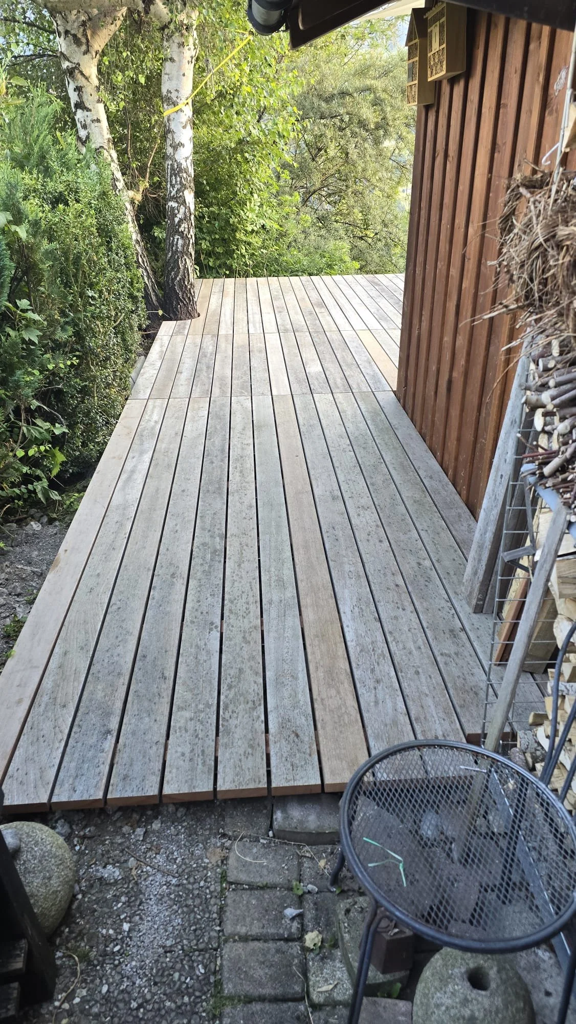 PHOTO-2025-10-17-18-59-25 copy 2.jpg