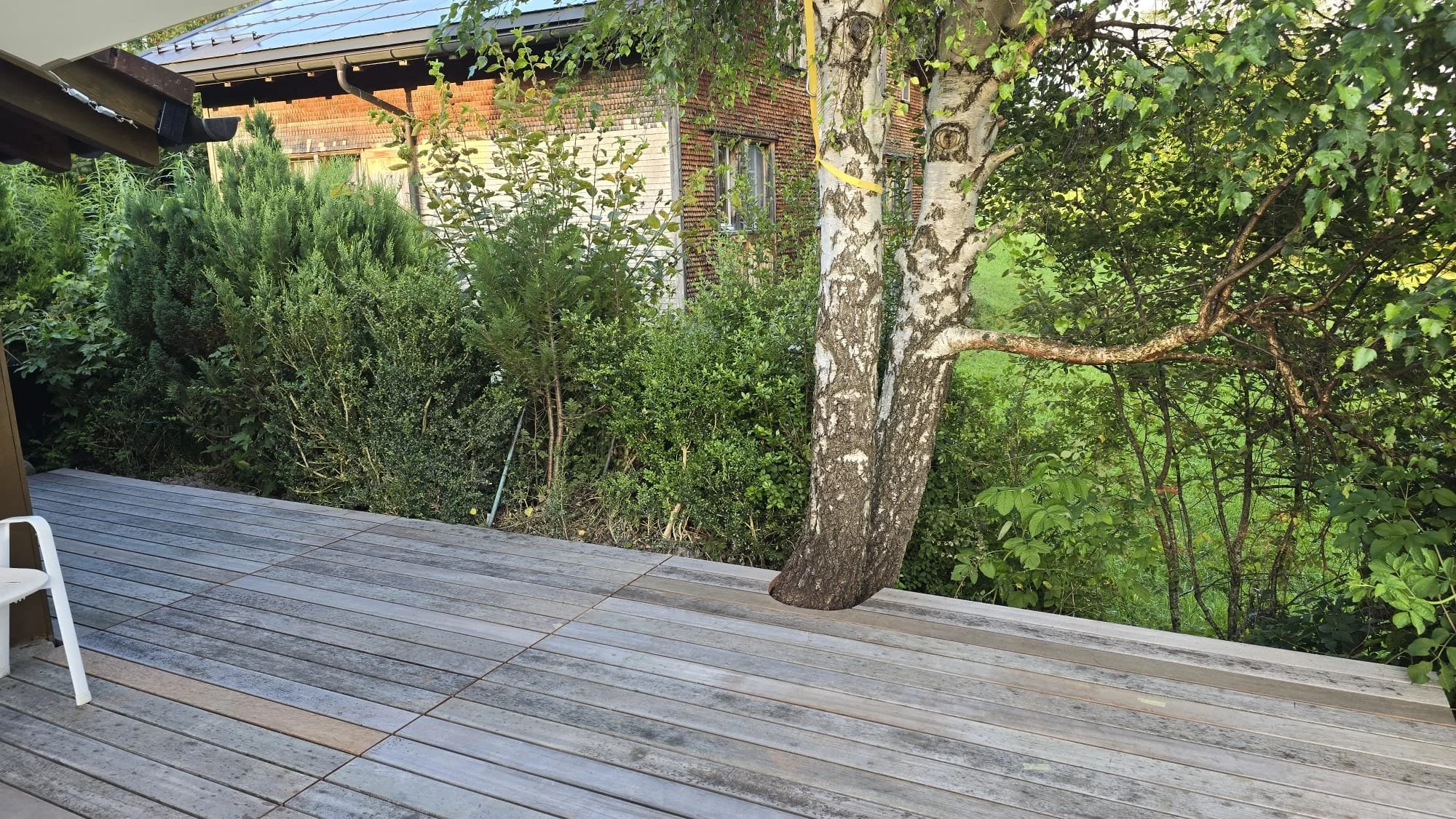 PHOTO-2025-01-05-11-49-14 2.jpg