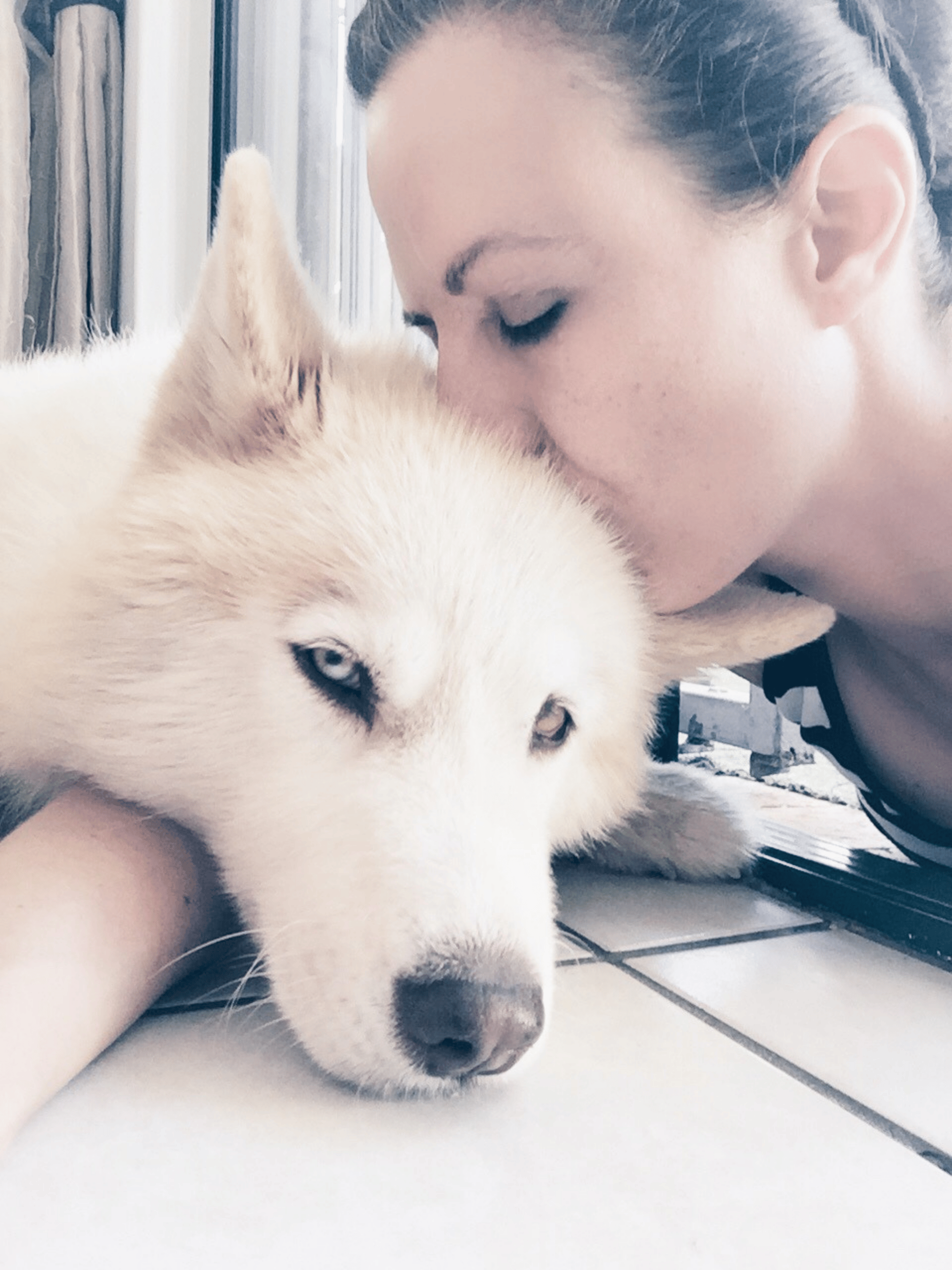 Xavier, Alrina Laker's soul companion and first spiritual teacher, who opened the doorway to animal communication and the shamanic path