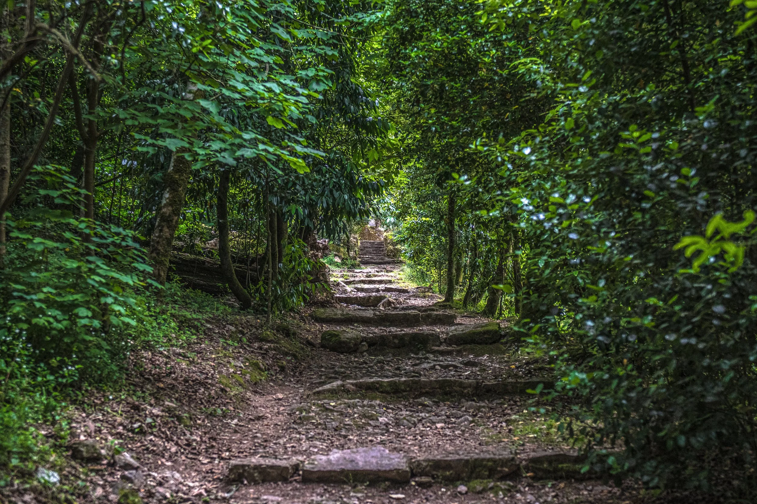 “Monday 5 Things” ….. Empty &amp; Victorious …..