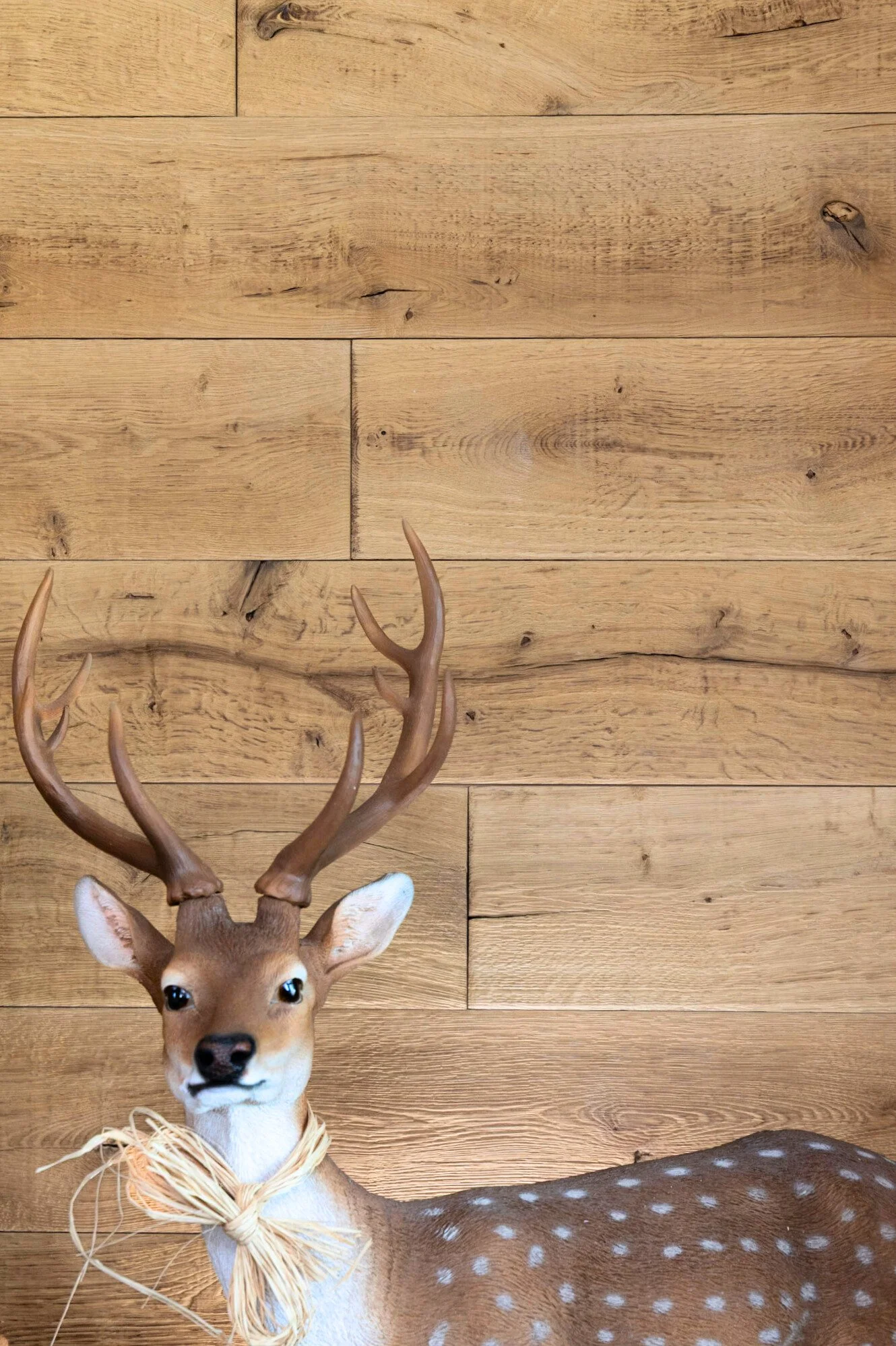 Cerf retouché weisshorn massif .jpg