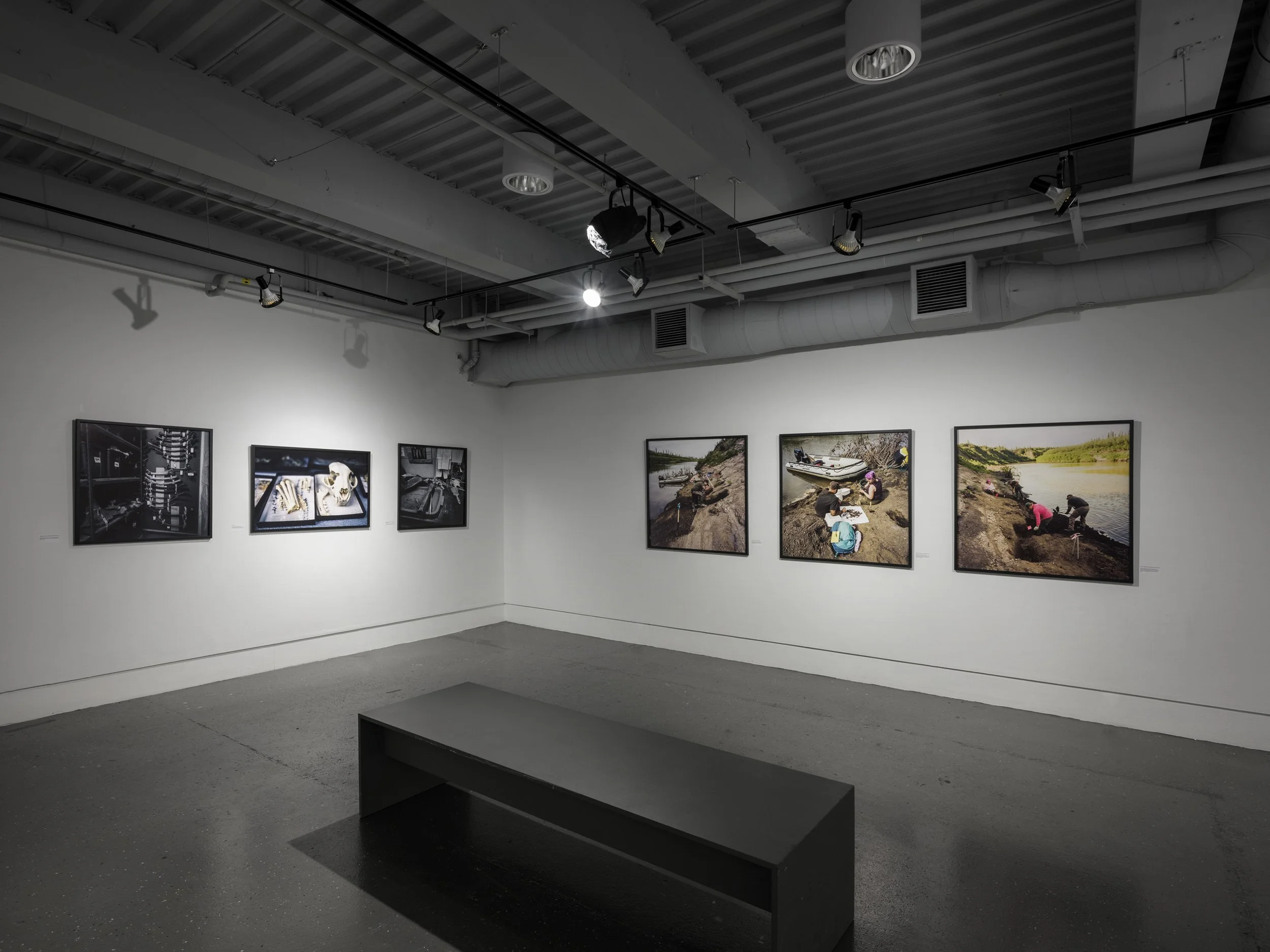 06.TaraNicholson_Alternator_Prints2.jpg