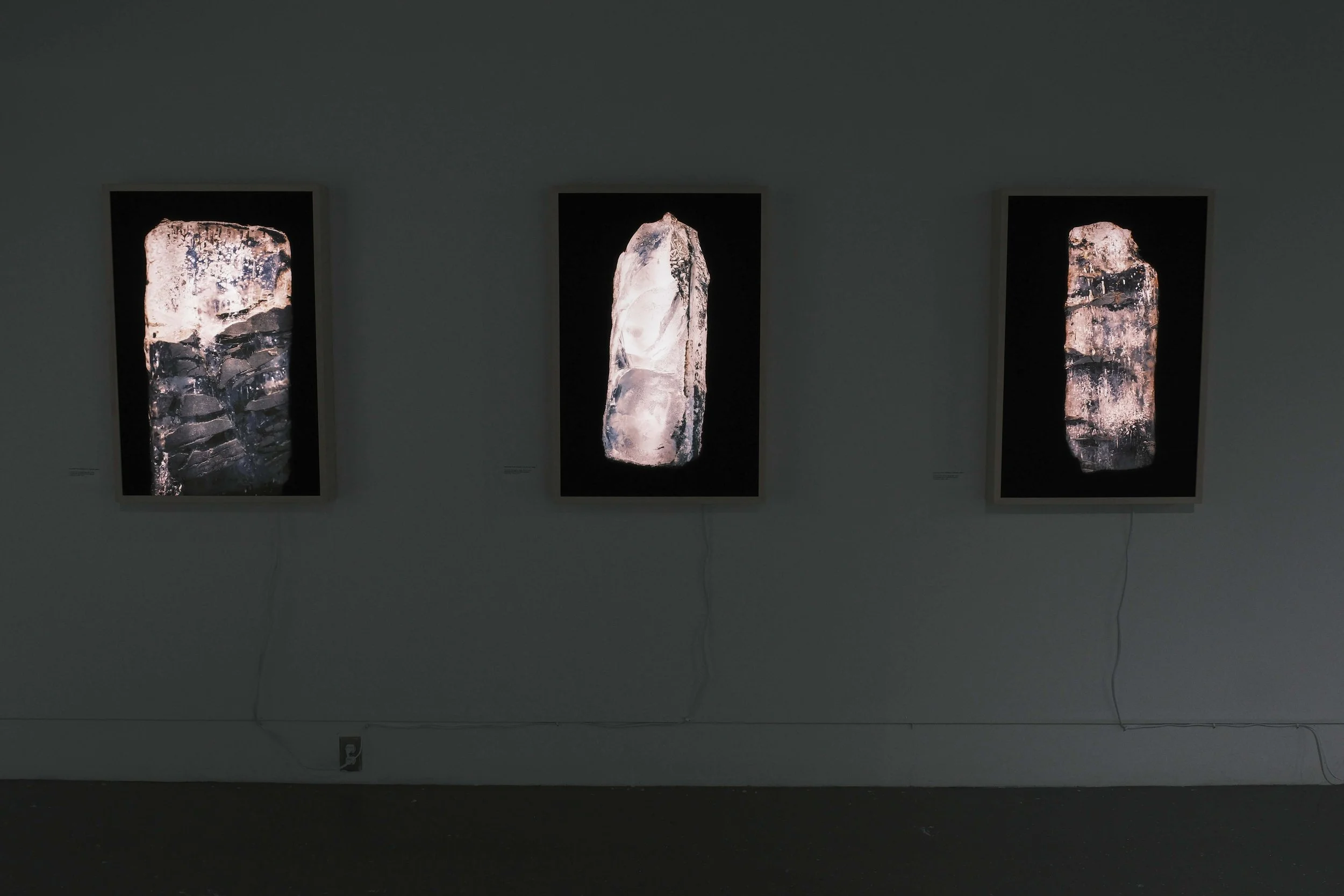taranicholson-lightboxes.jpg