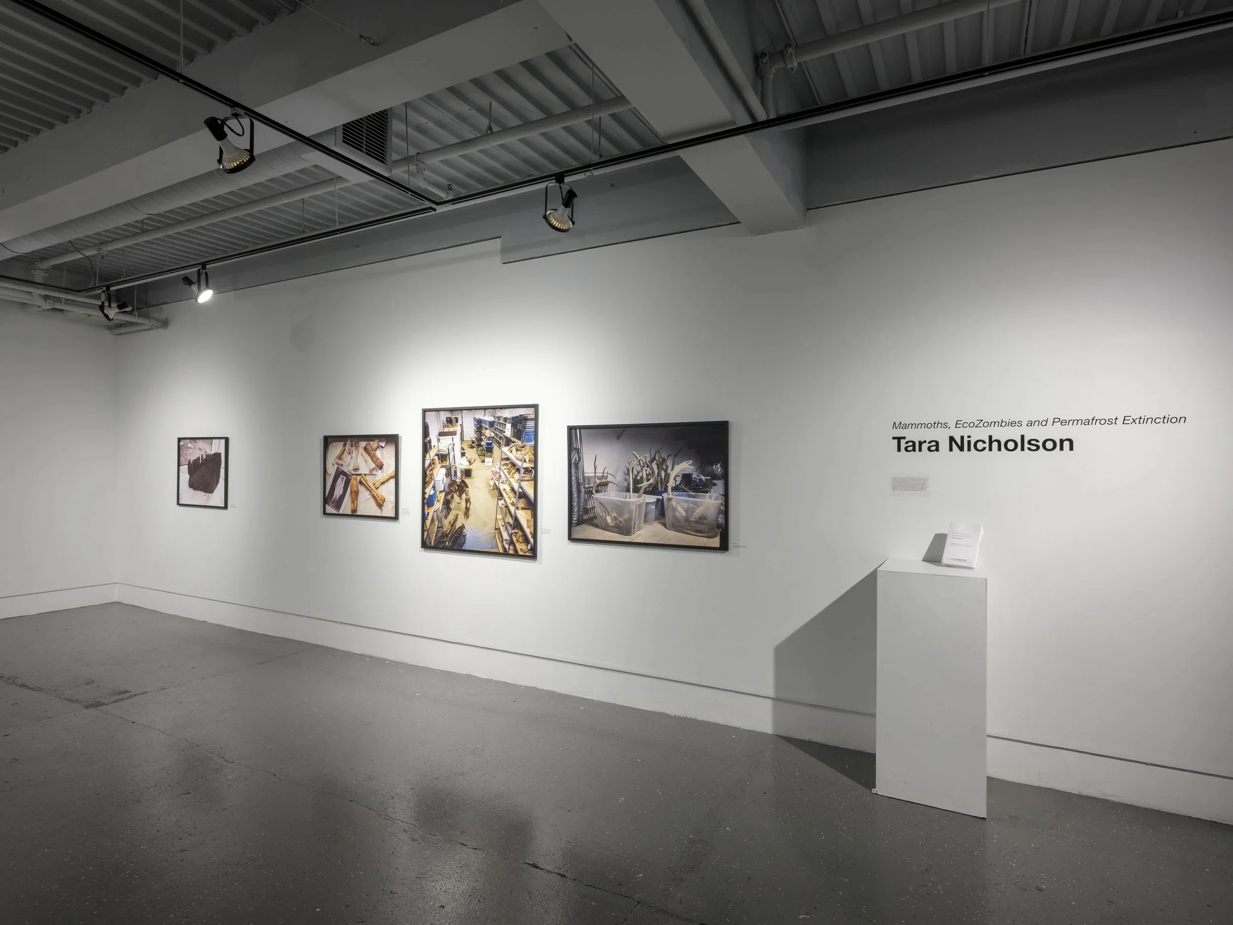 Exhibition Documentation: Mammoths, EcoZombies &amp; Permafrost Extinction,  Alternator Centre for Contemporary Art, Kelowna, Winter, 2025