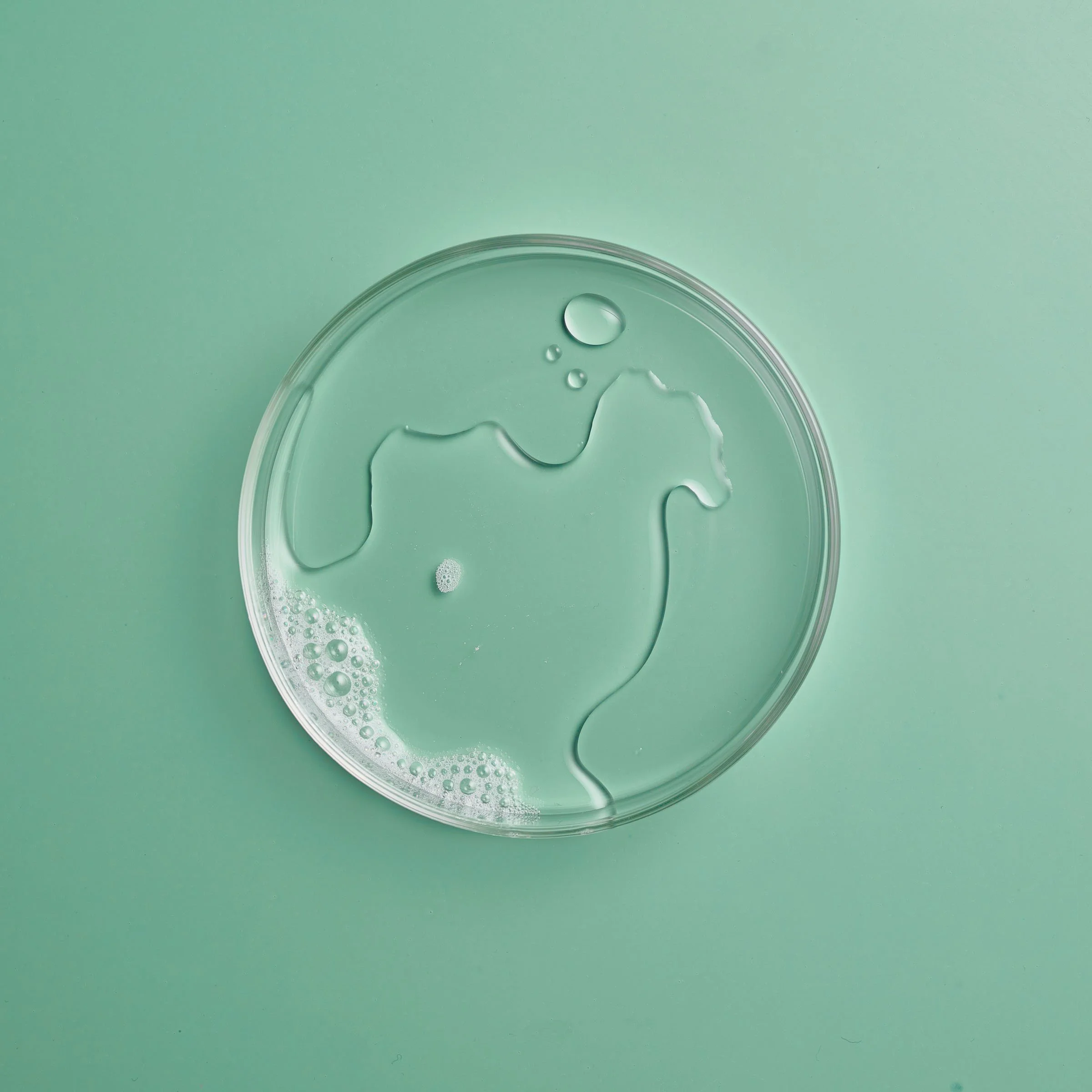 Petri dish with water on a mint green background. Chicago Milwaukee Midwest Illinois Food Food beverage Food Drink Savory Photographers photographer photography videography videographer CPG Bennett Fuhrman Ben Tiny Scheme