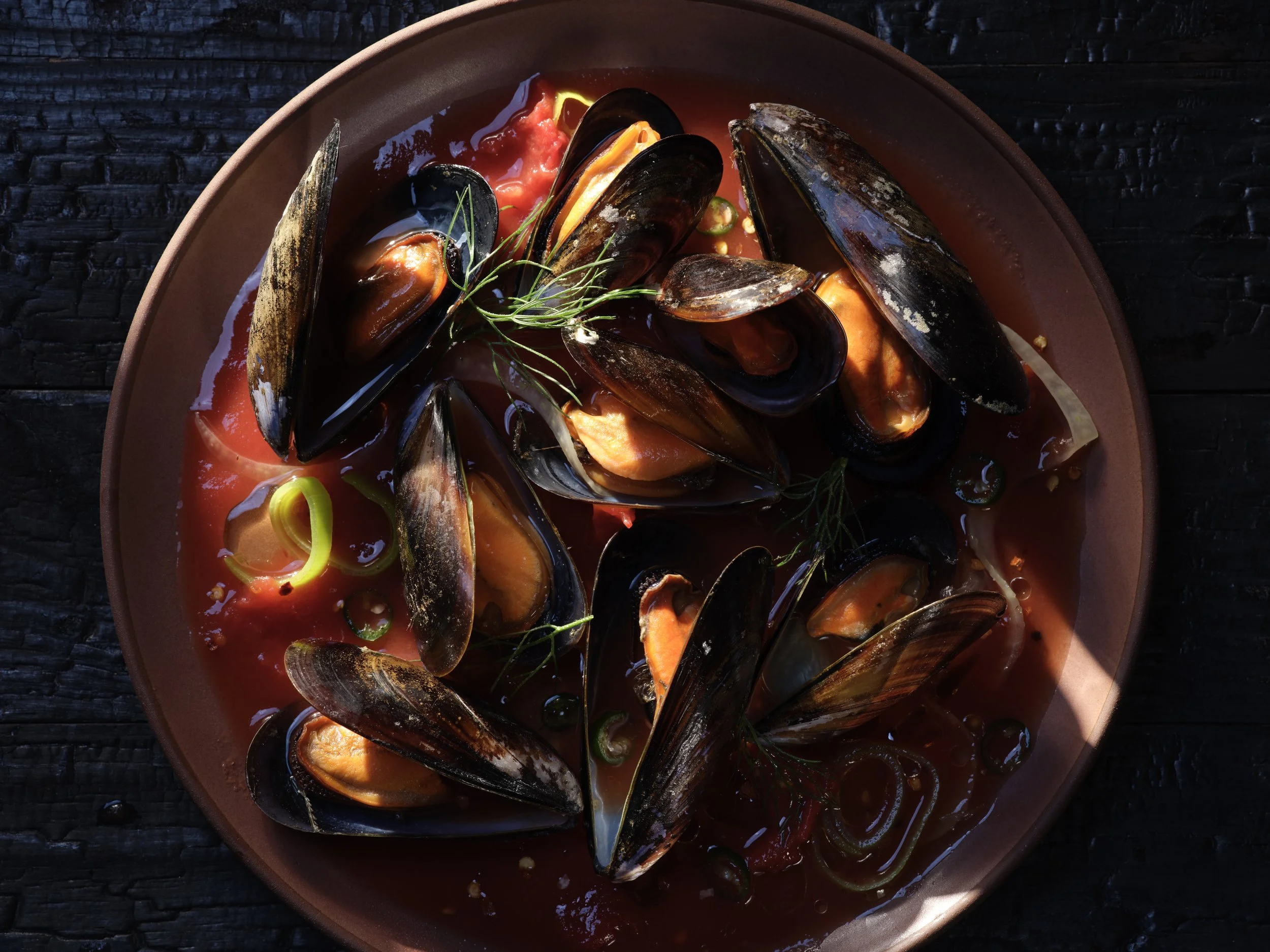 A plate of cooked mussels in a tomato-based sauce, garnished with herbs. Chicago Milwaukee Midwest Illinois Food Food beverage Food Drink Savory Photographers photographer photography videography videographer CPG Bennett Fuhrman Ben Tiny Scheme