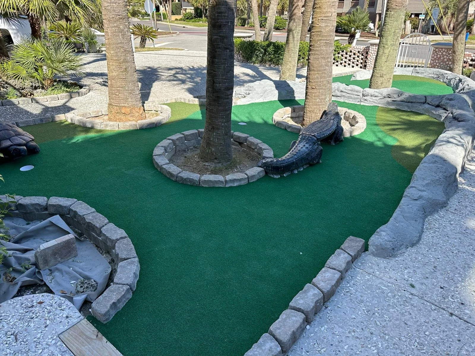 WhatsApp Image 2024-12-05 at 19.39.15_fba2ea03.jpg