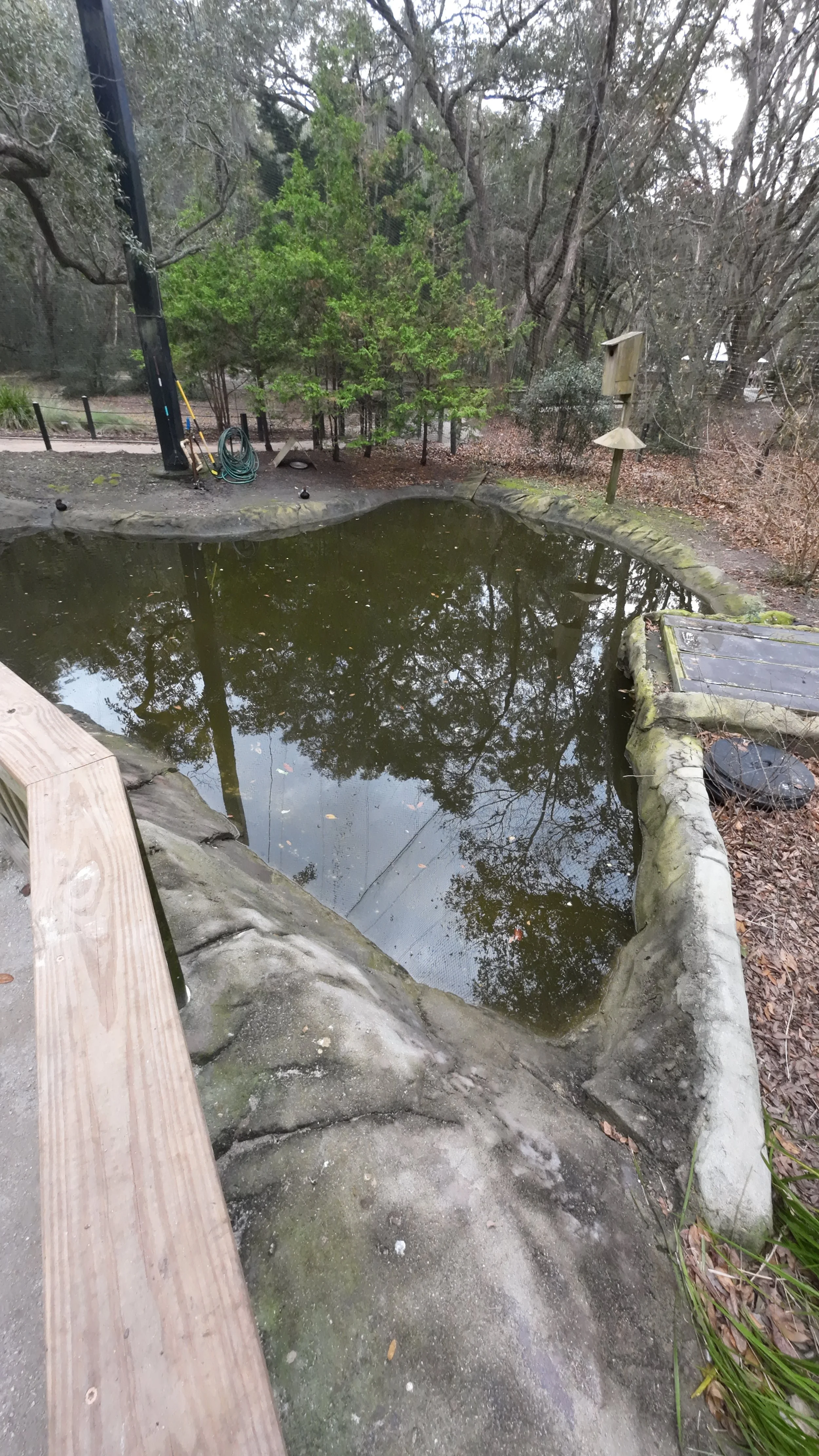 DJI_20241210143706_0084_D - Copy.JPG