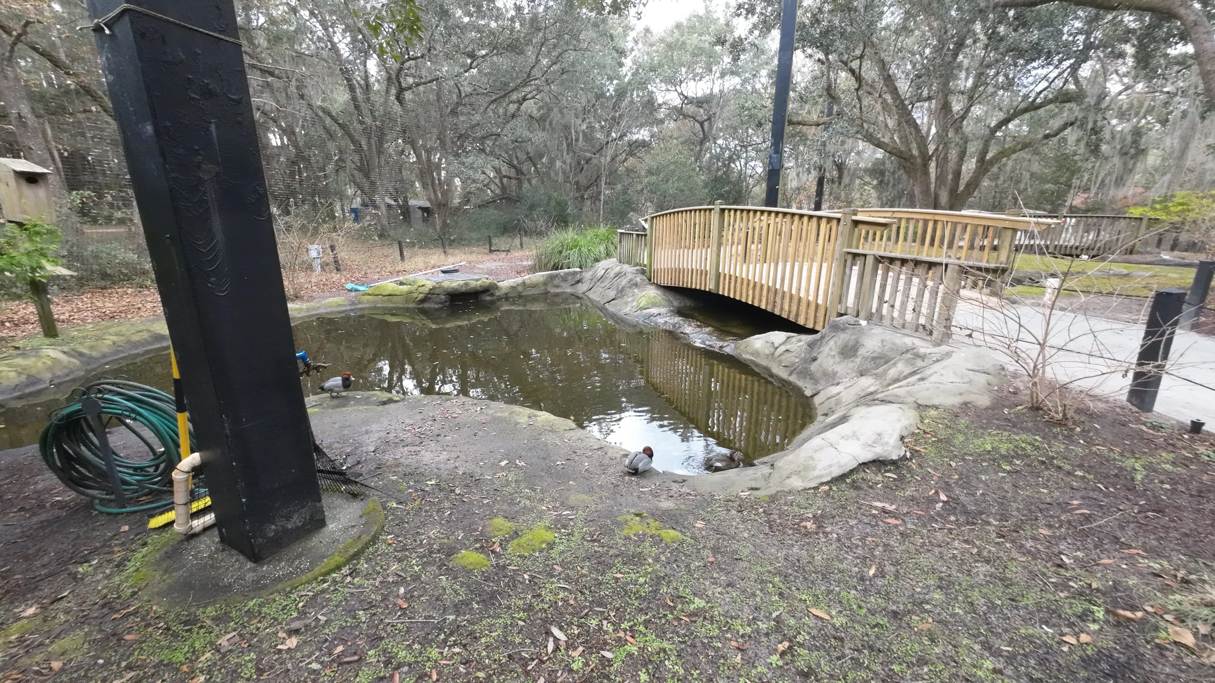 DJI_20241210143941_0088_D - Copy.JPG