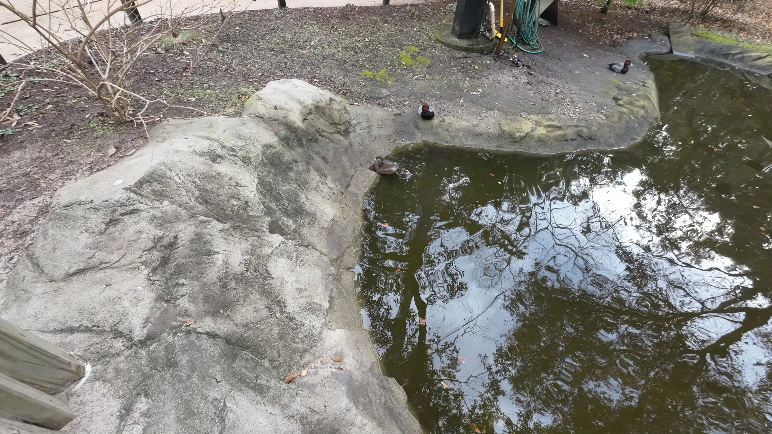 DJI_20241210143824_0086_D - Copy.JPG