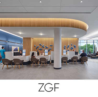 zgf+image.png