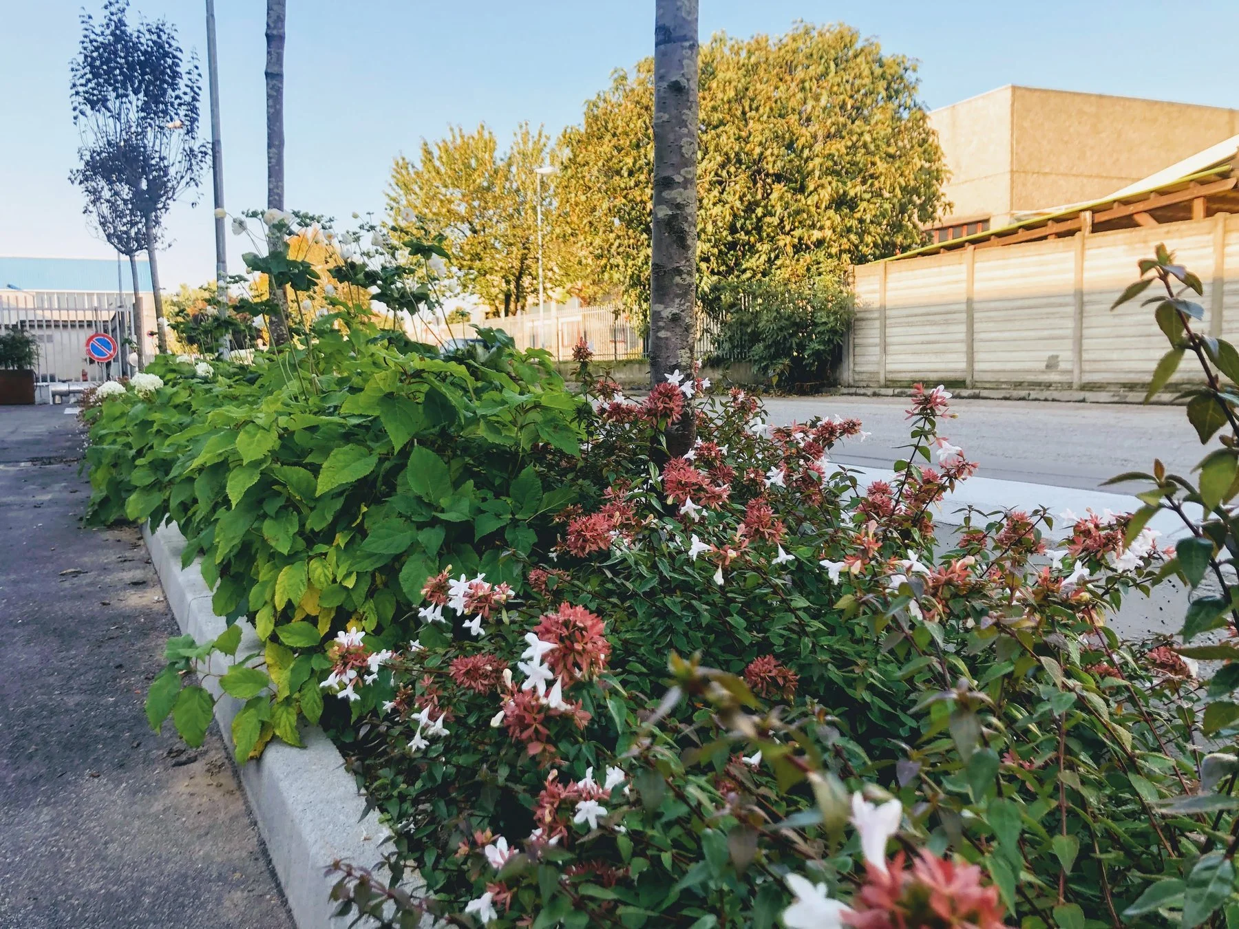 Un parcheggio al verde · zona industriale est Milano · 2020