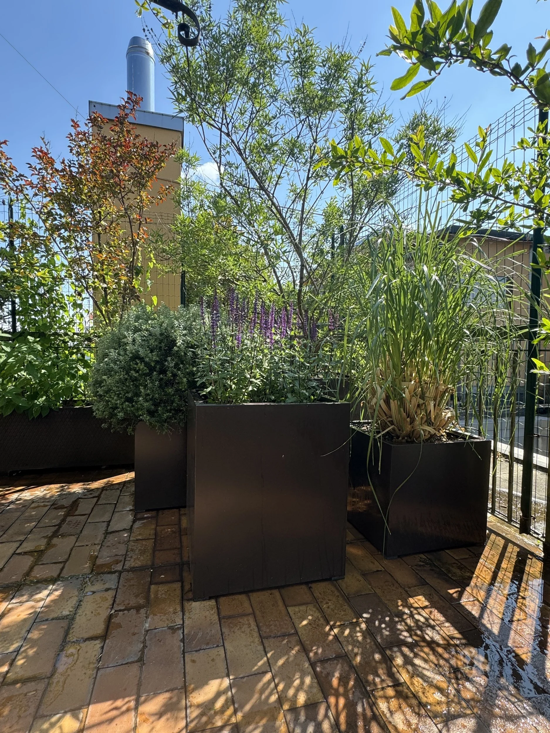 Fioriere color testa di moro con salvia e cortaderia su un terrazzo di Milano