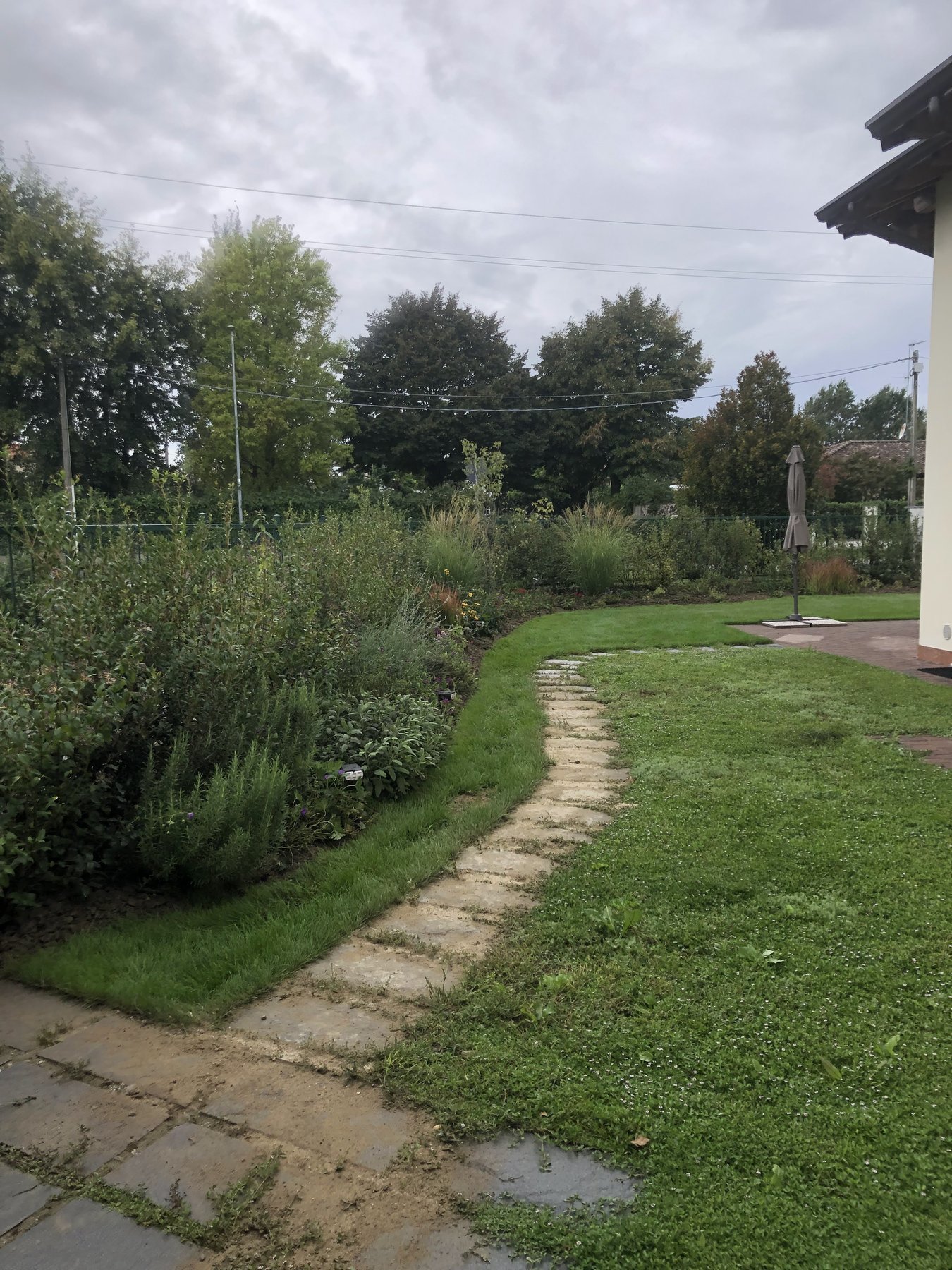 Lippia e pietra · 2023