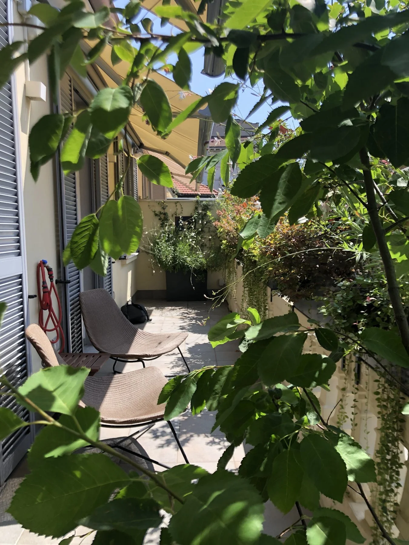 Stretto e al sole · 2018