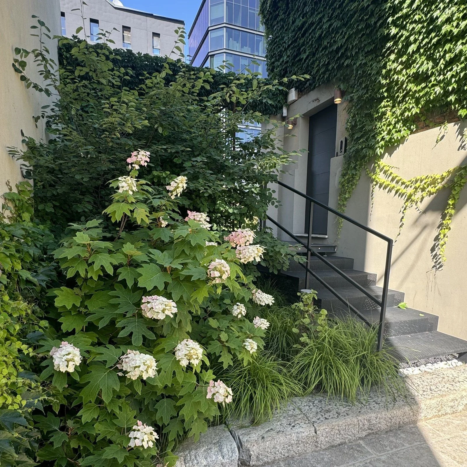 Tra cemento, mattoni e ferro · Milano, zona Mecenate · 2018