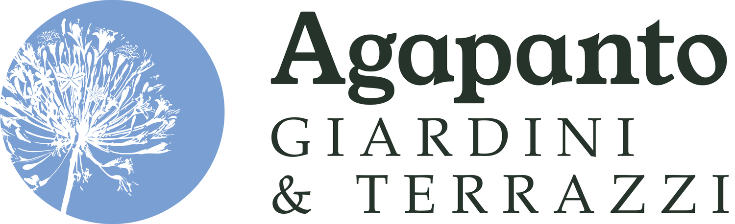 Agapanto giardini
